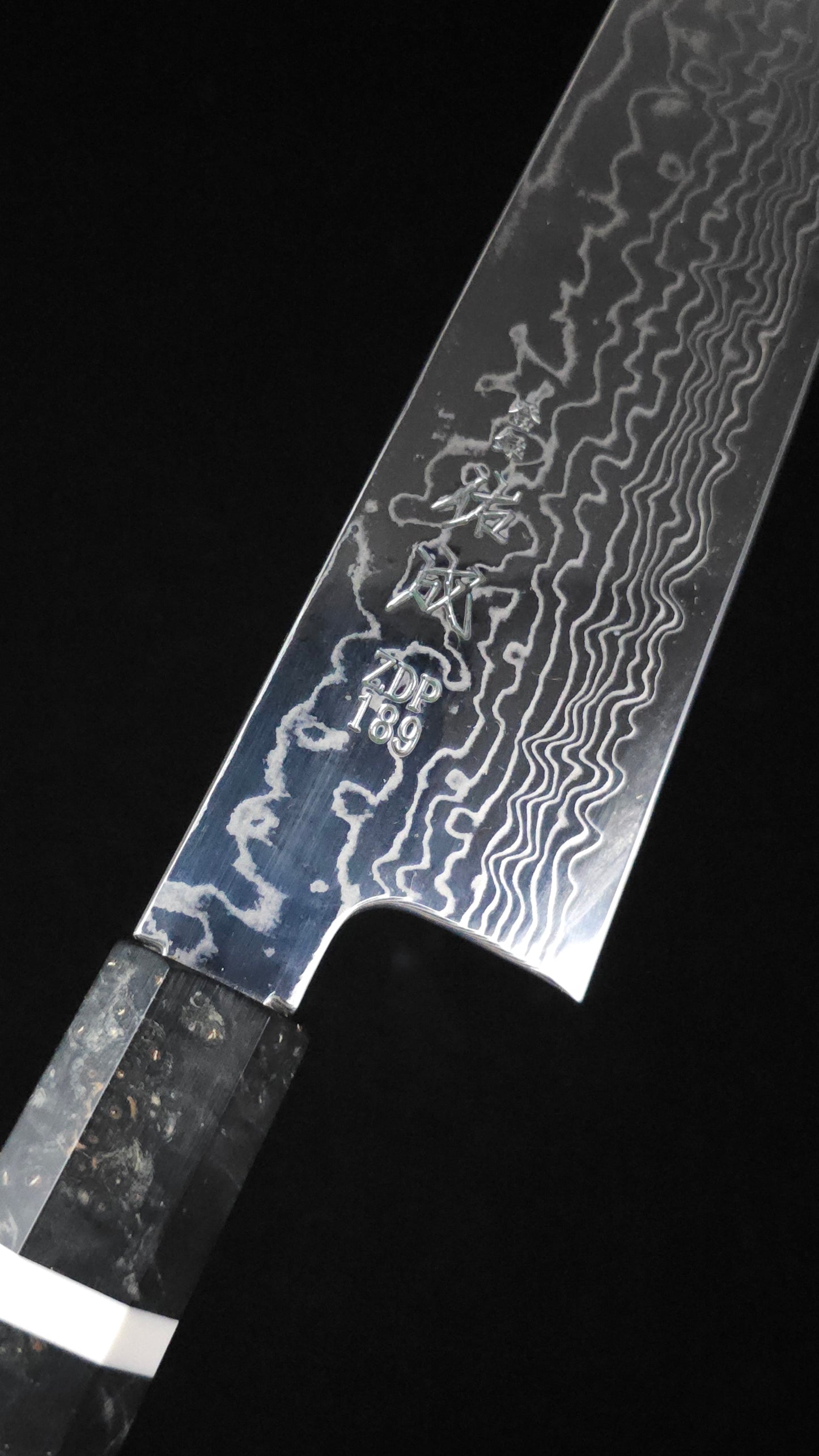Sukenari ZDP189 Gyuto 240mm