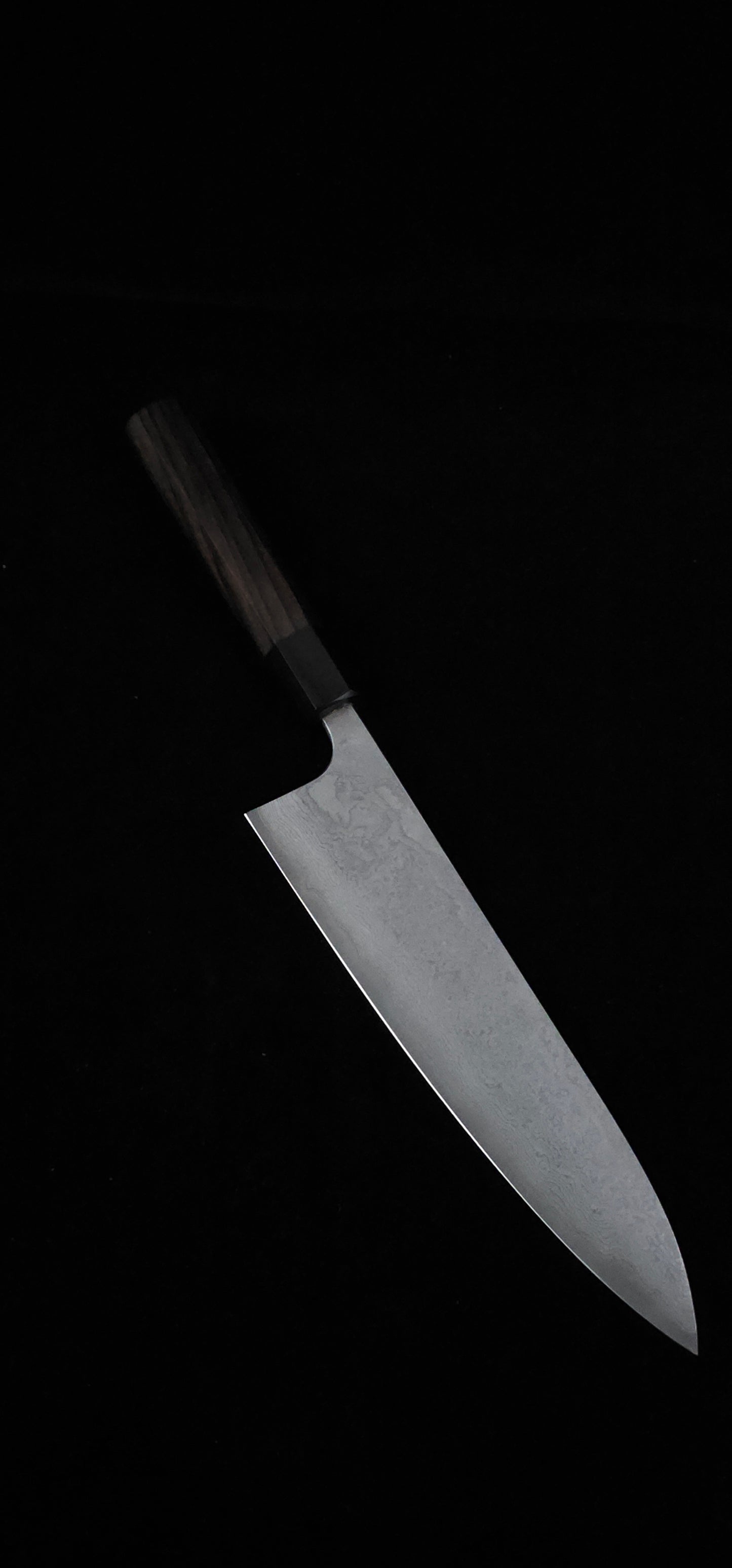 Nao Yamamoto VG10 Gyuto 210mm