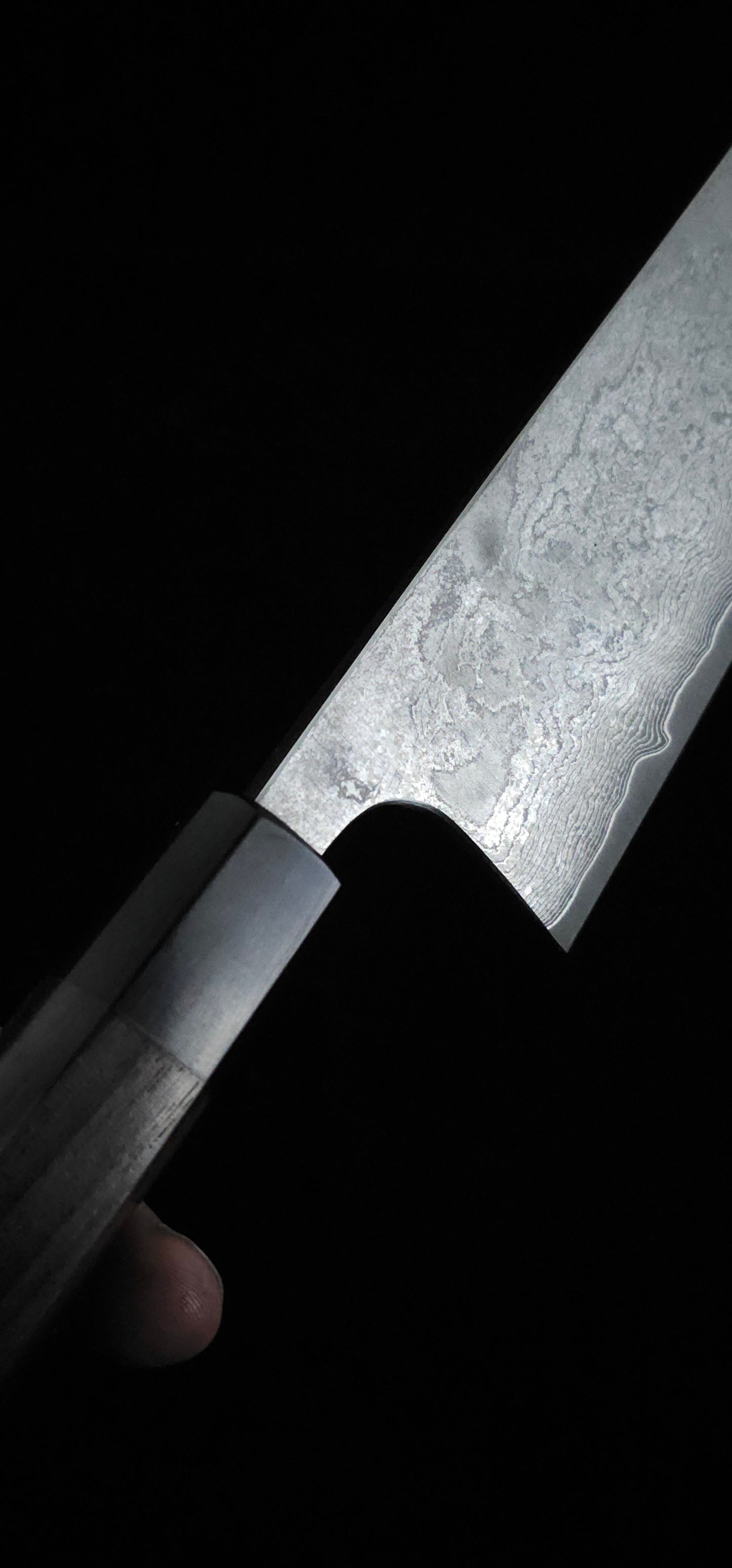 Nao Yamamoto VG10 Gyuto 210mm