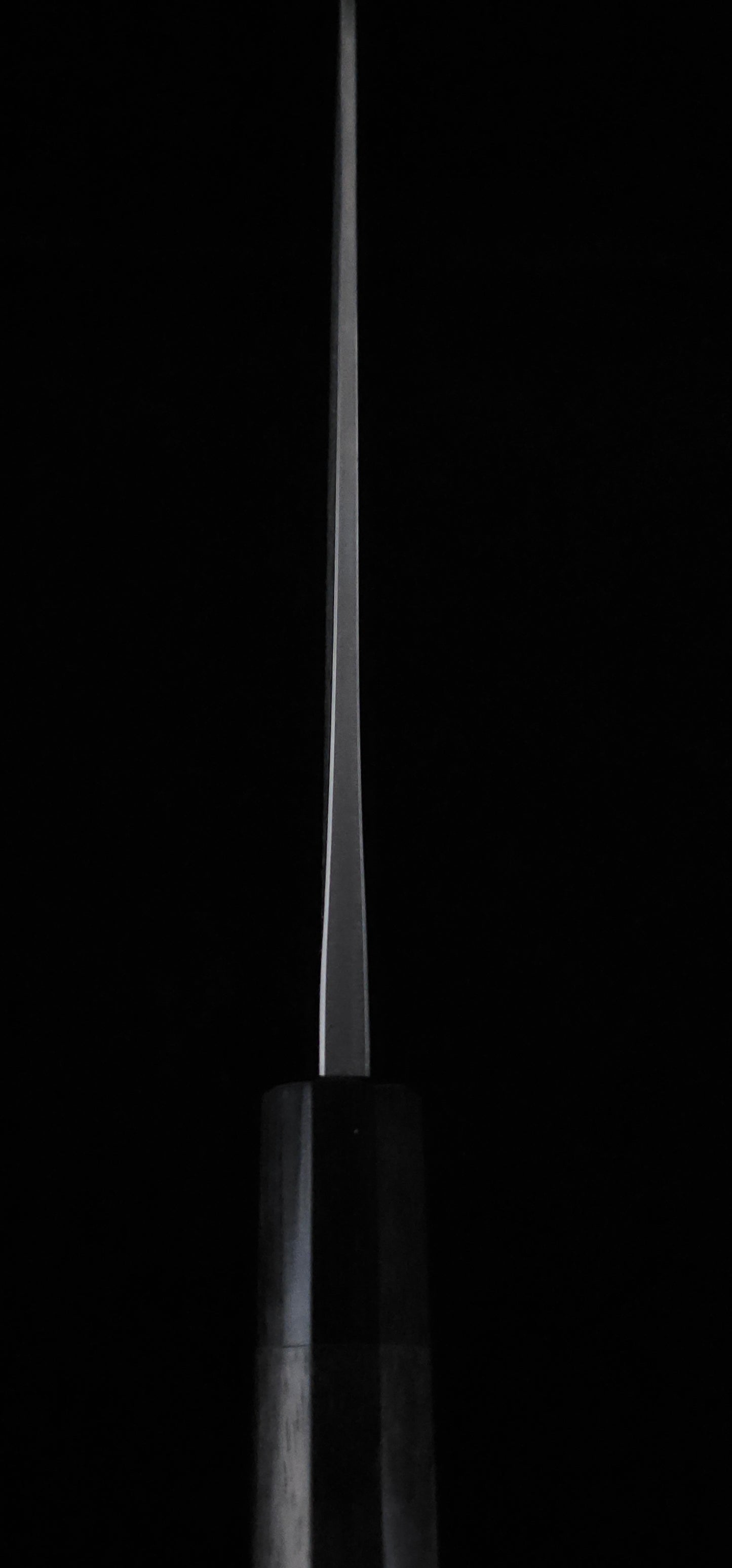 Nao Yamamoto VG10 Gyuto 210mm