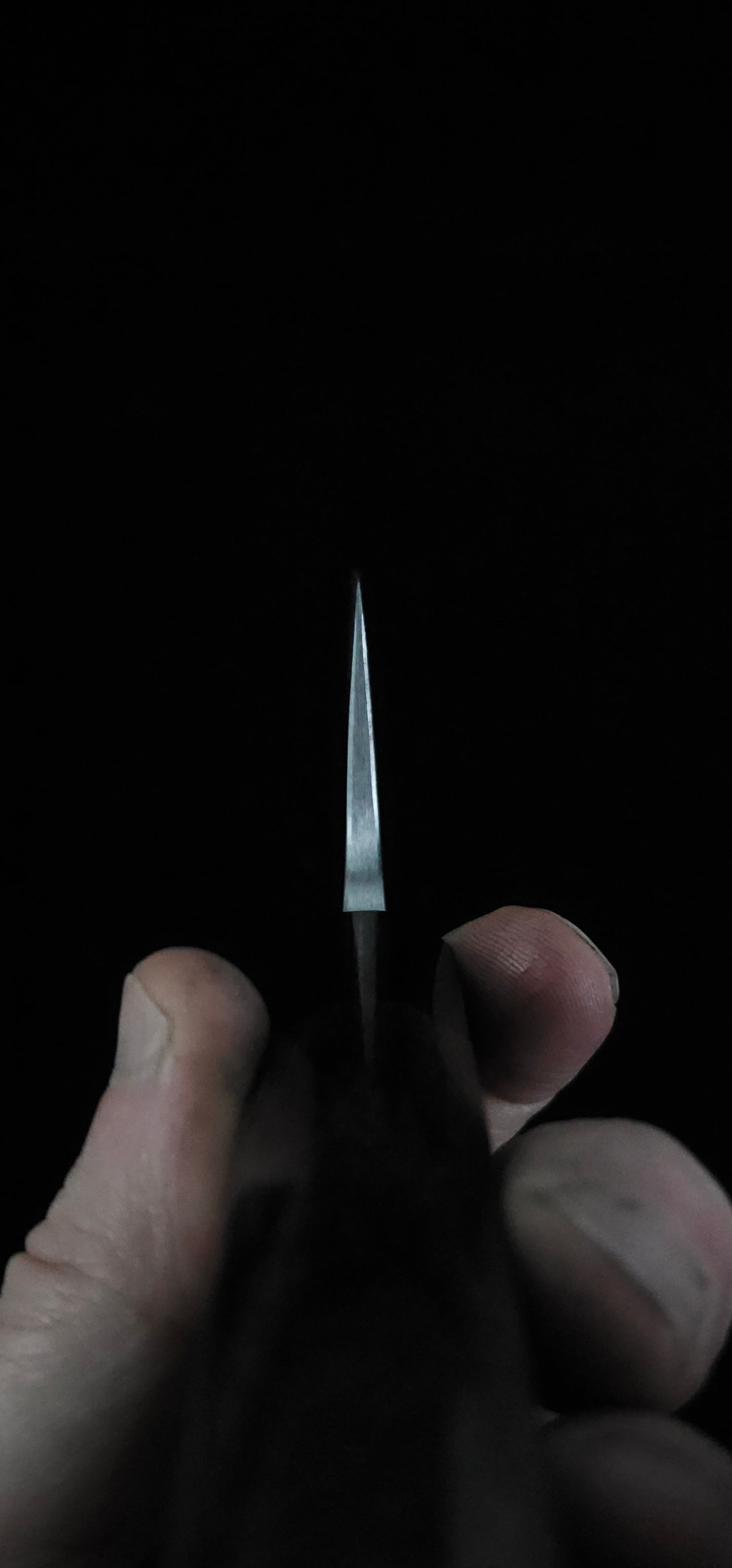 Nao Yamamoto VG10 Gyuto 210mm