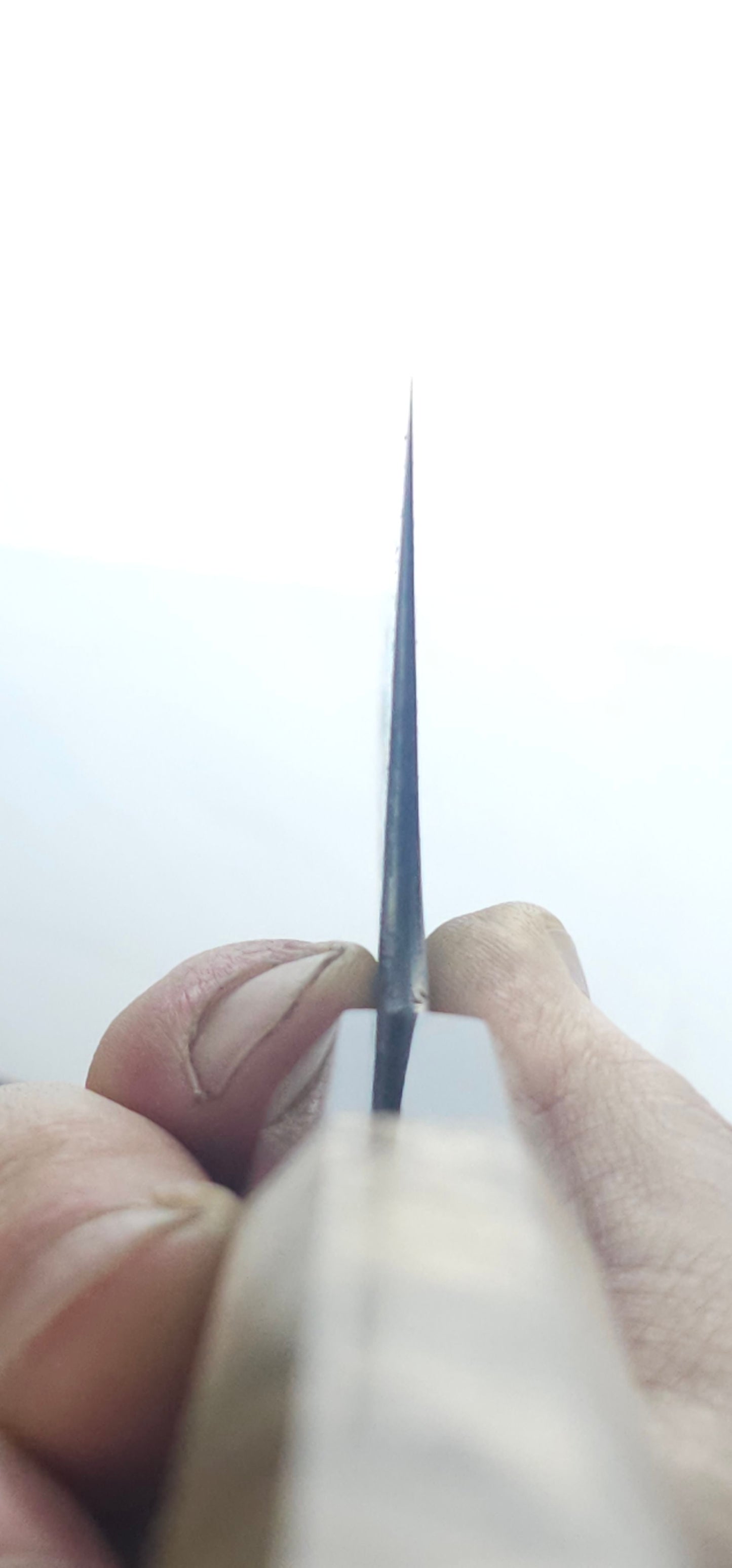 Sakai Kikumori White1 Kuro-uchi Santoku 180mm