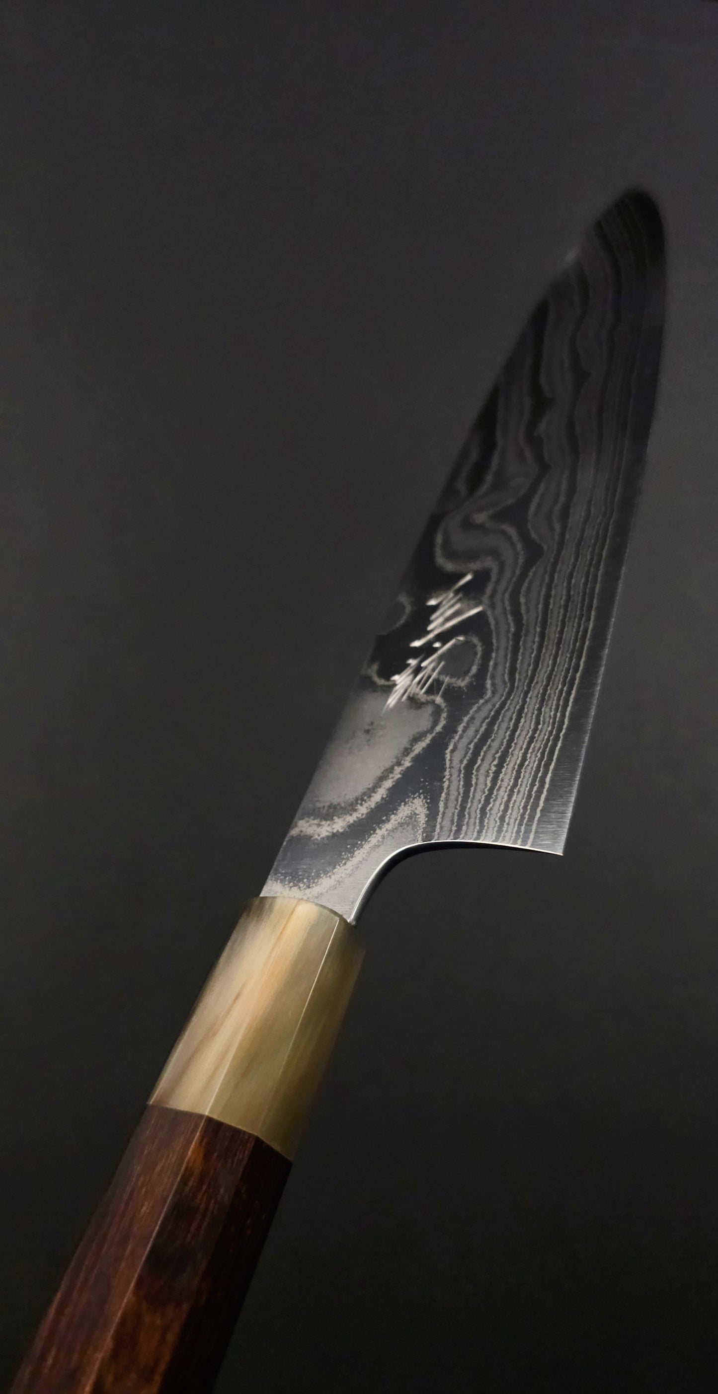 Shisei AUS10 Nickel Damascus Gyuto 210mm