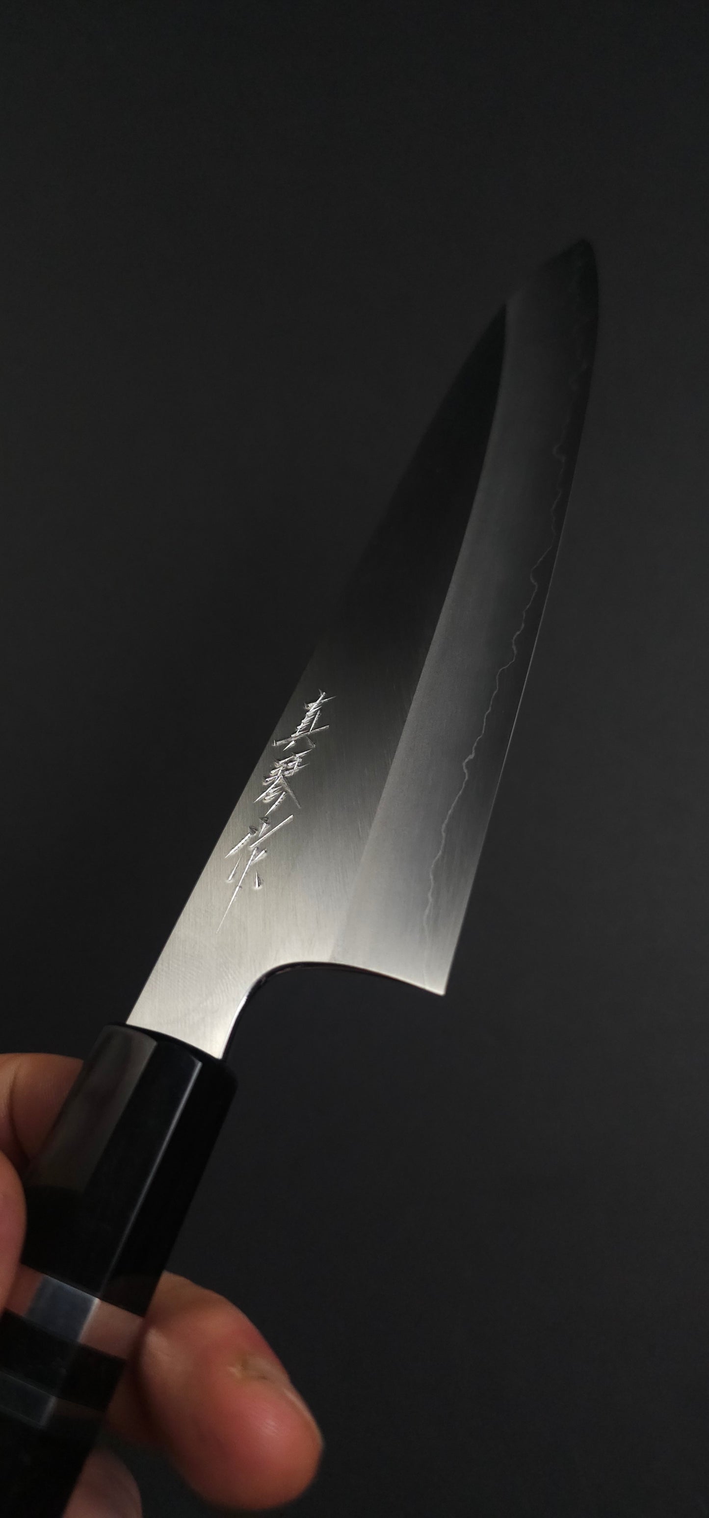 Tadokoro Hamono Ginsan(Silver3) Gyuto 210mm