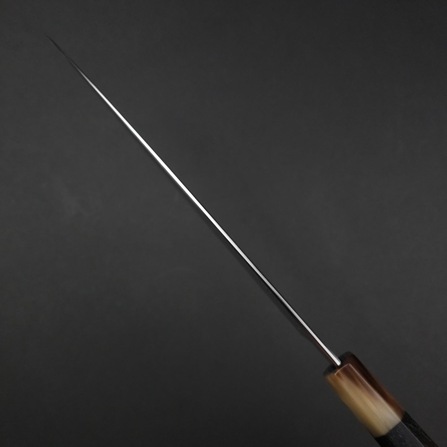 Nakagawa & Sakai Kikumori Blue1 Gyuto 240mm
