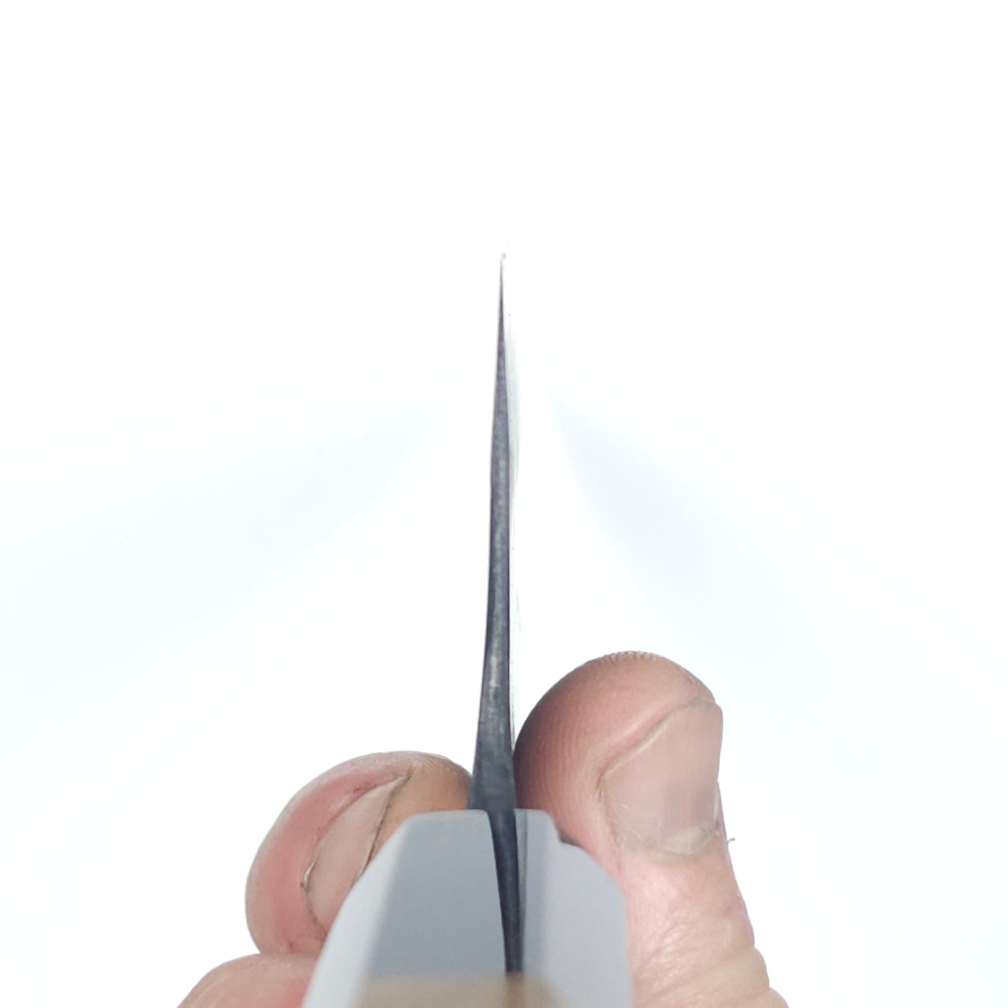 Kyohei Shindo Blue2 Gyuto 210mm
