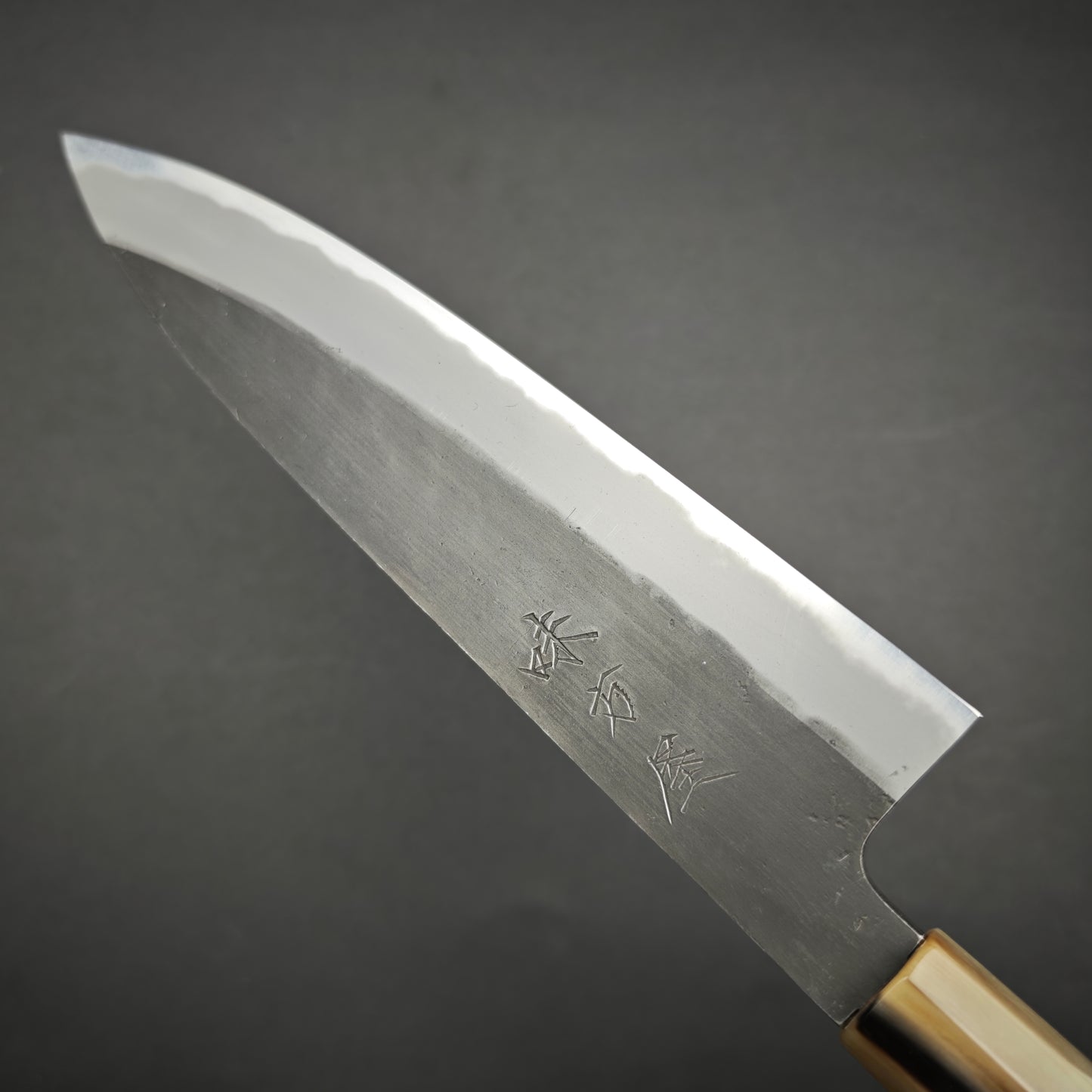 Mutsumi Hinoura Blue2 kurouchi Gyuto 210mm-Iron clad