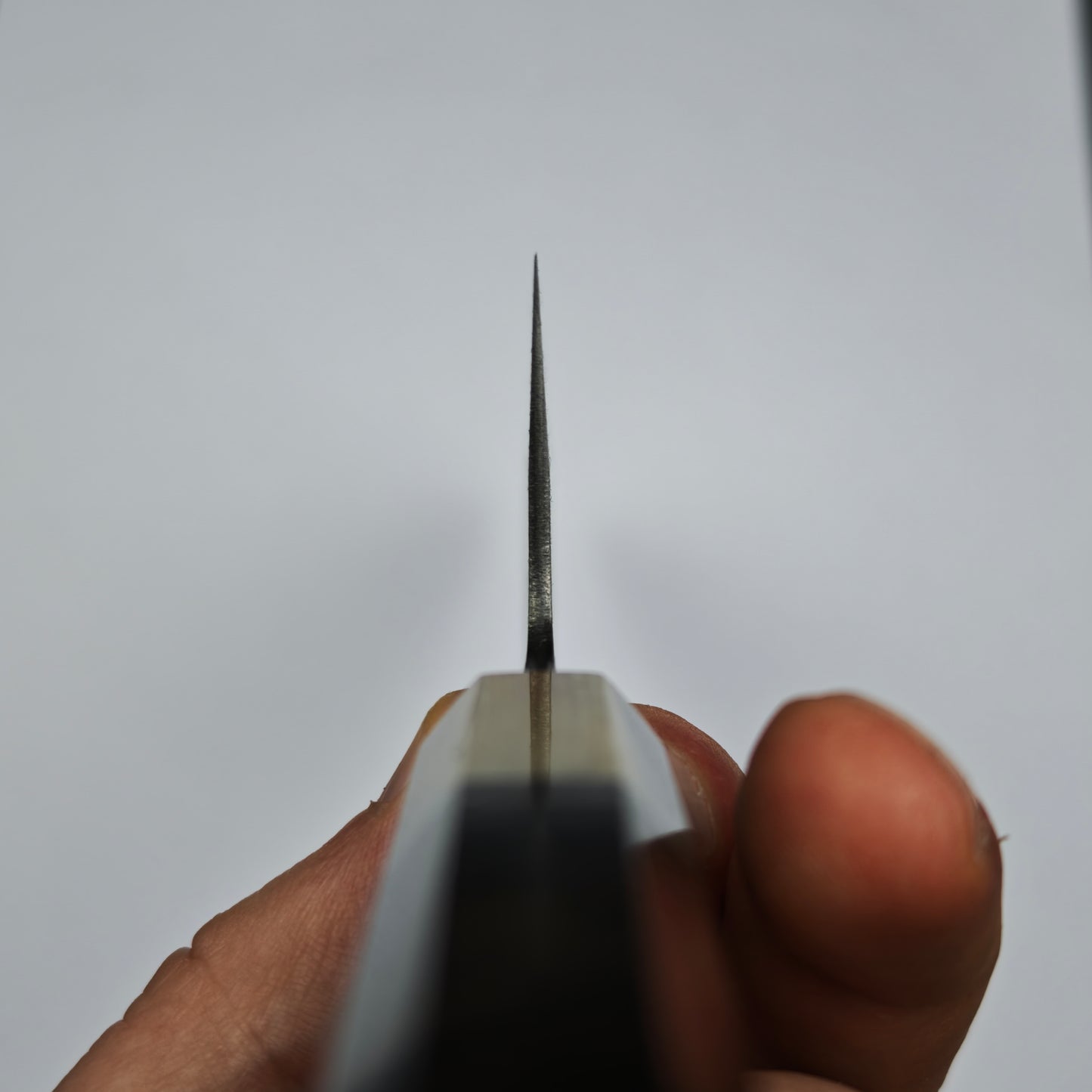 Mutsumi Hinoura Blue2 kurouchi Gyuto 210mm-Iron clad