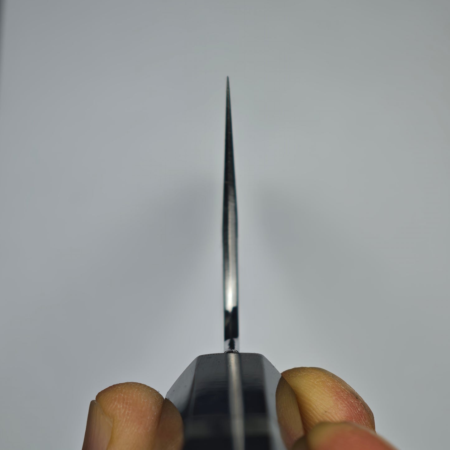 Tadokoro Hamono Ginsan(Silver3) Gyuto 240mm