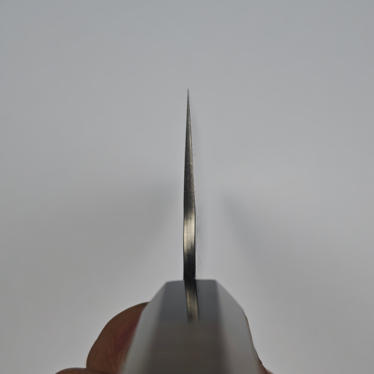 Nigara Hamono SPG Strix Damascus Gyuto 210mm