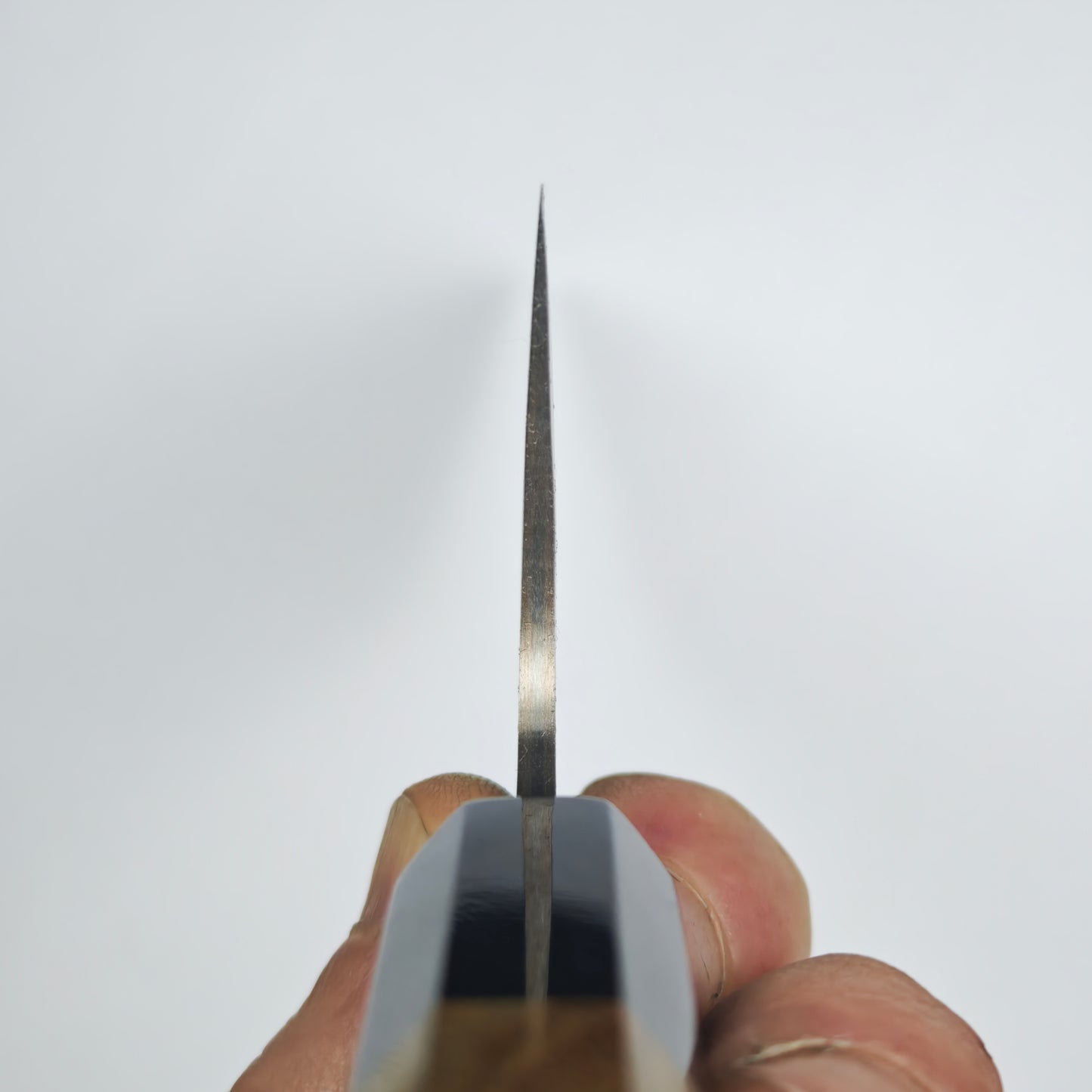 Takeshi Saji Blue2 Rainbow Damascus Bunka 180mm
