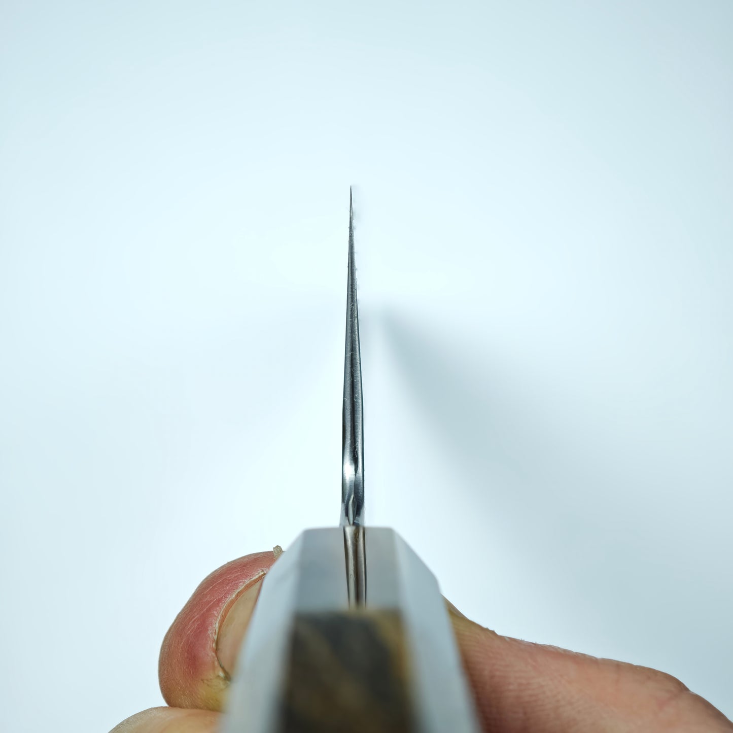 Sakai Kikumori-Yoshikazu Tanaka Blue Super Kasumi Gyuto 240mm