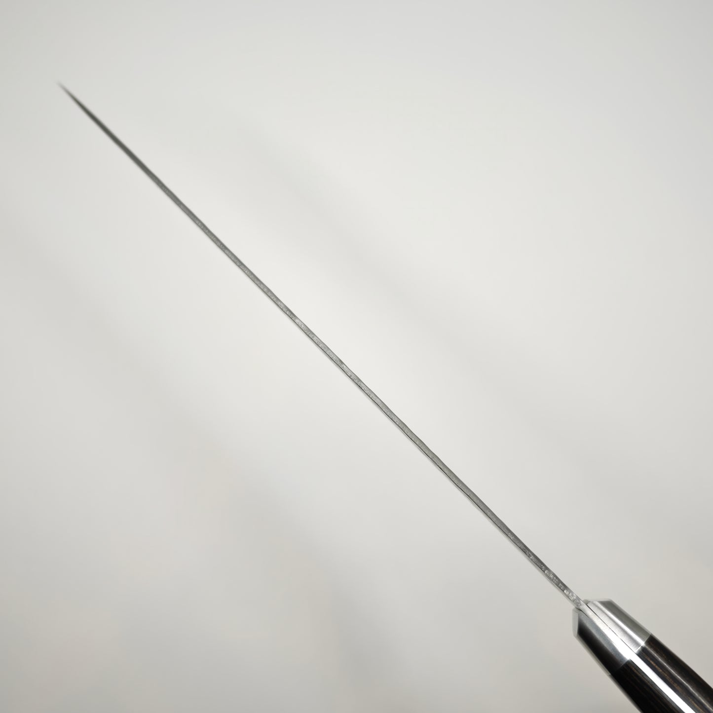 Shisei AUS8 Tsuchime Gyuto 210mm