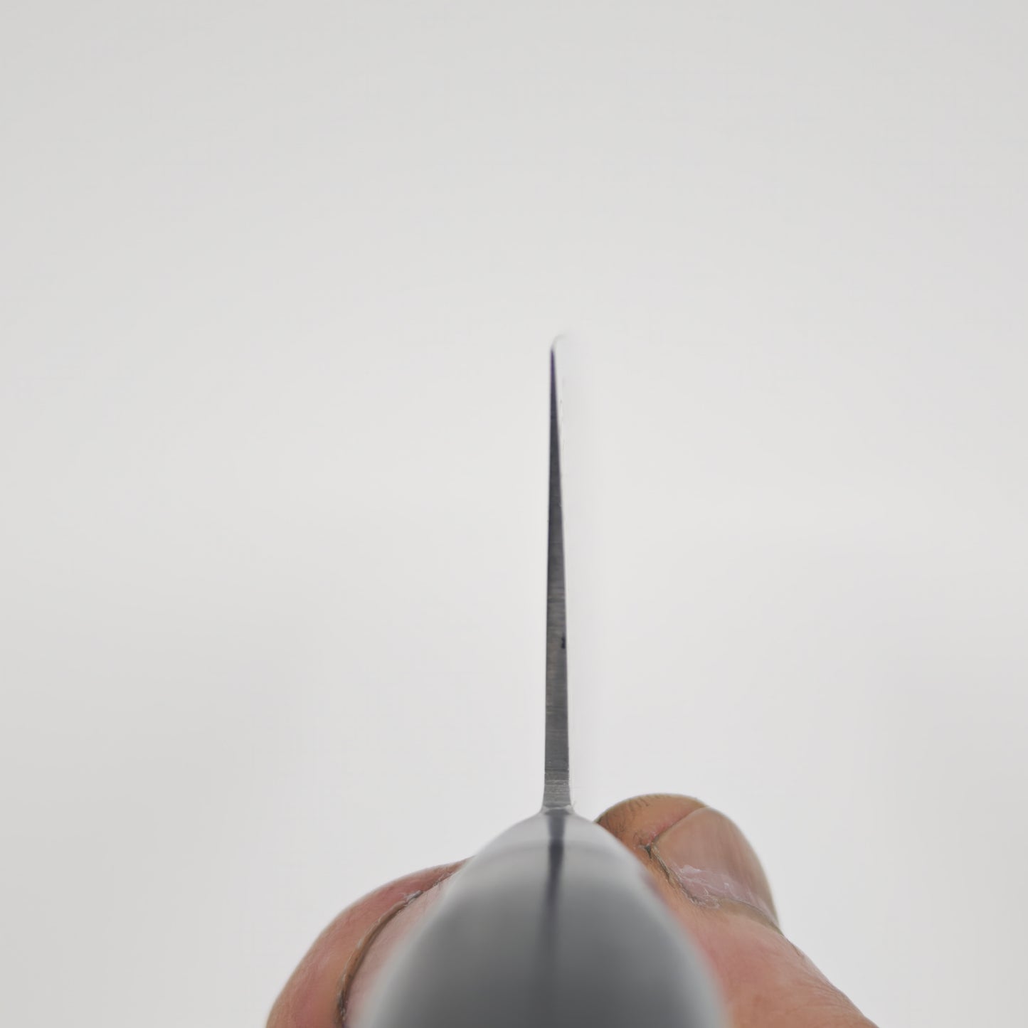 Shisei AUS10 45 Layer Gyuto 210mm