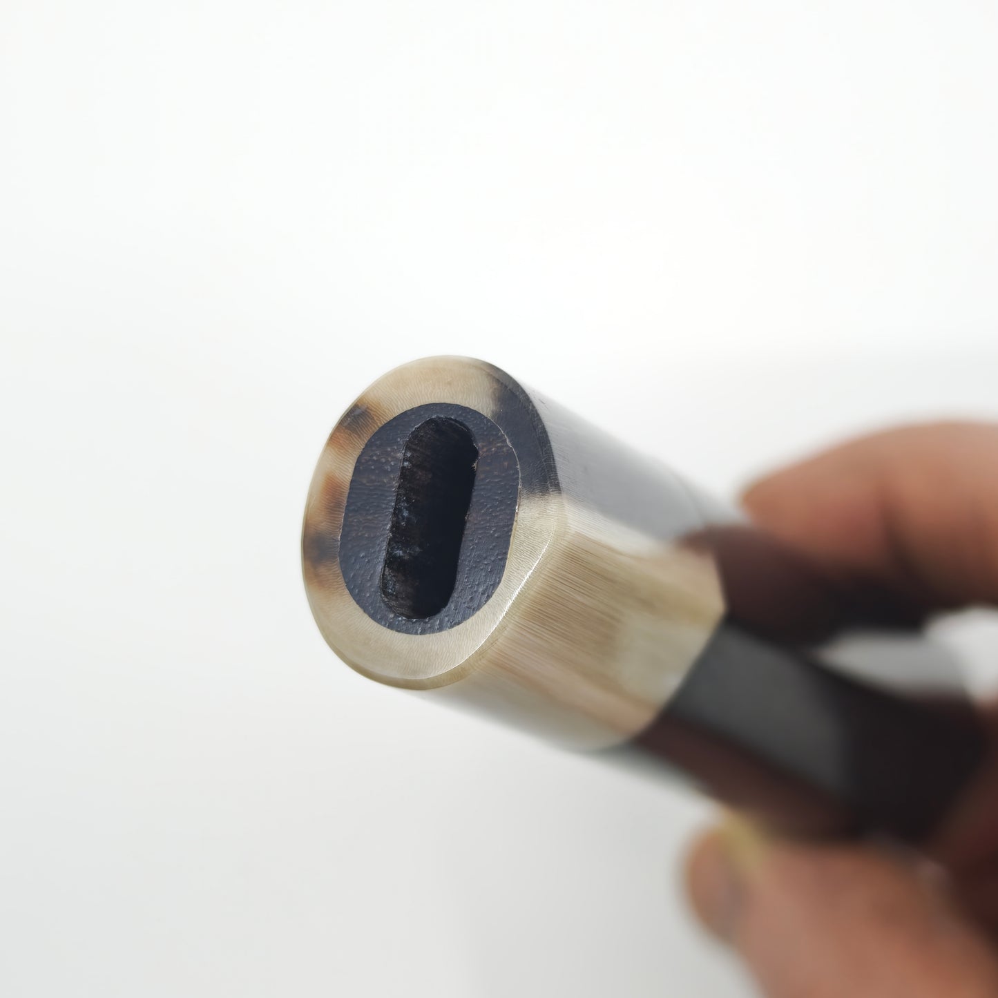 D-shape Black Ebony with Blond Buffalo Horn Ferrule