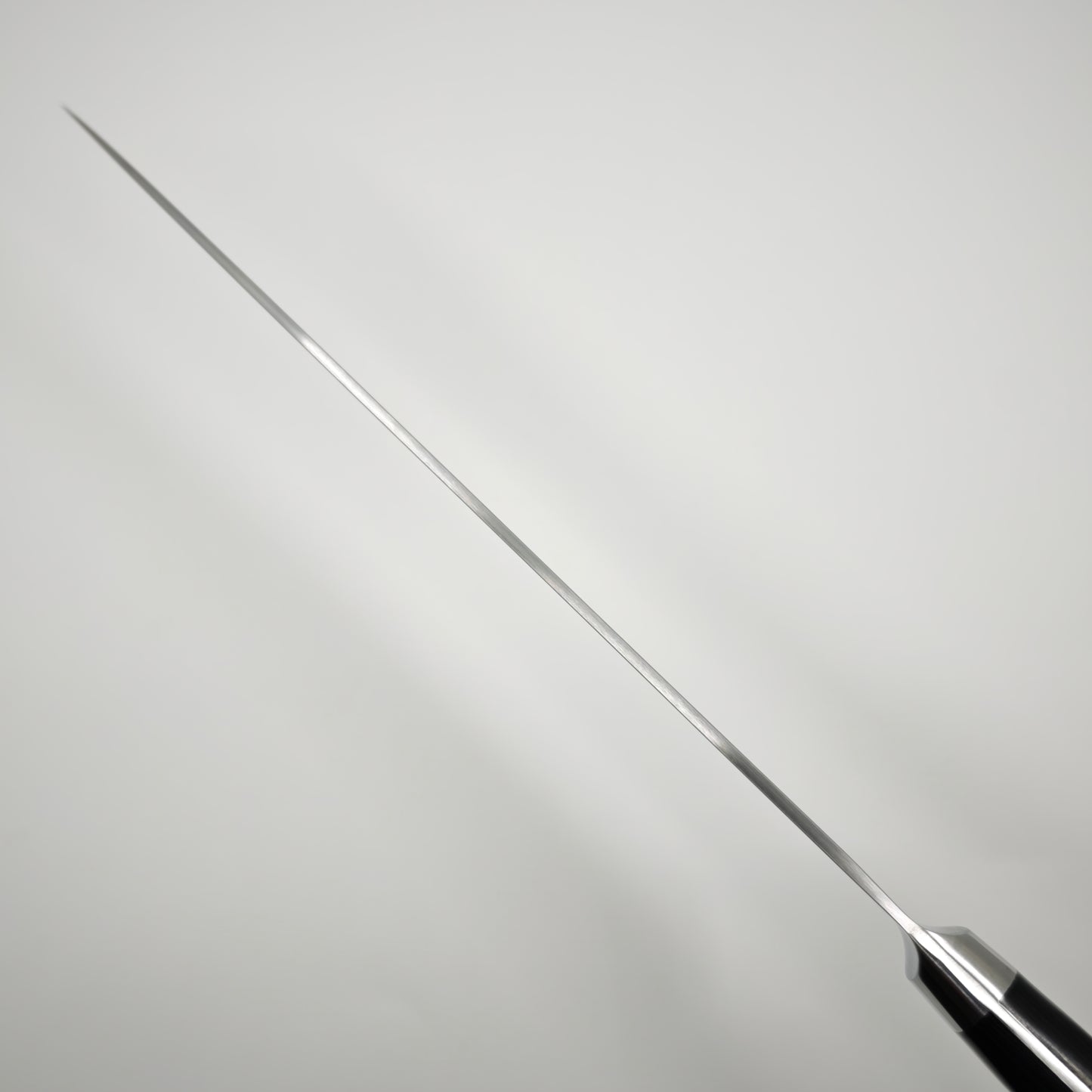 Touroku Sakai Migaki SG2 Gyuto 240mm Western Handle