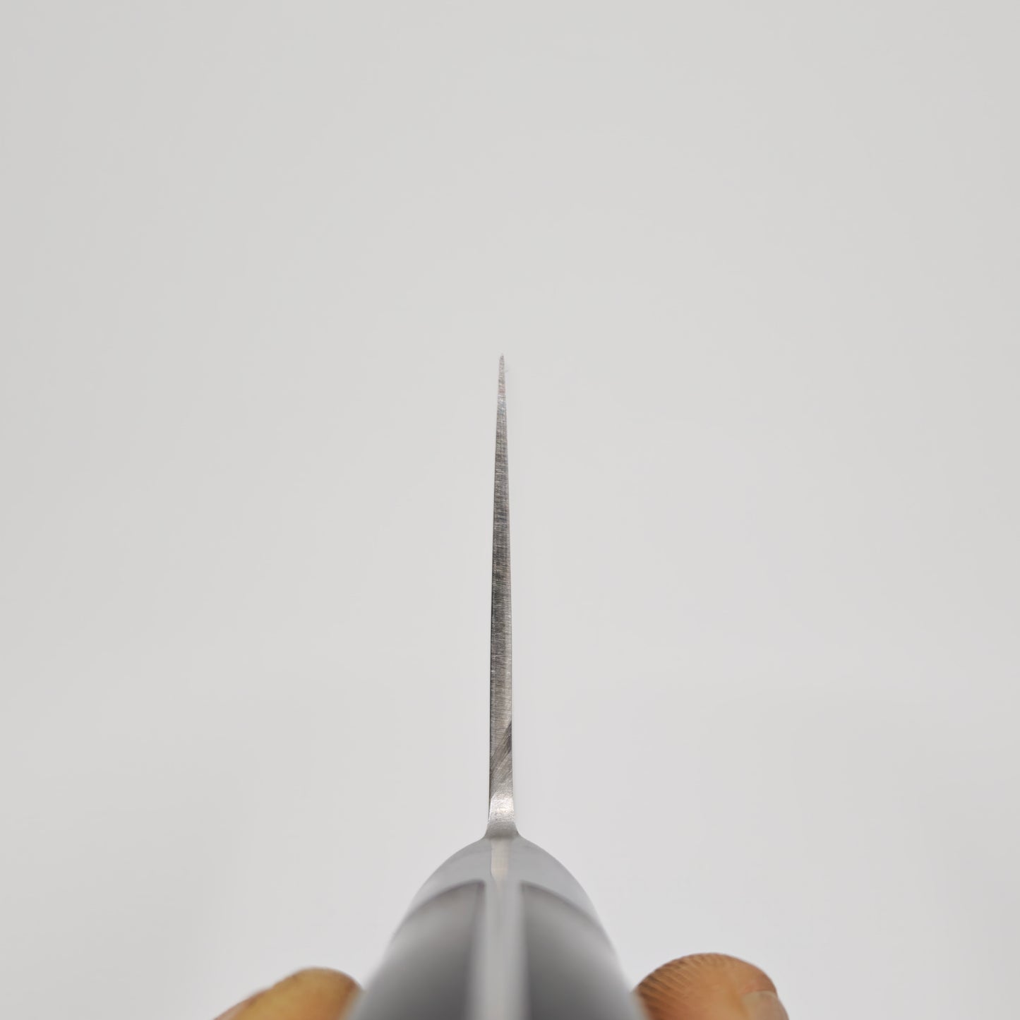 Touroku Sakai Migaki SG2 Gyuto 240mm Western Handle