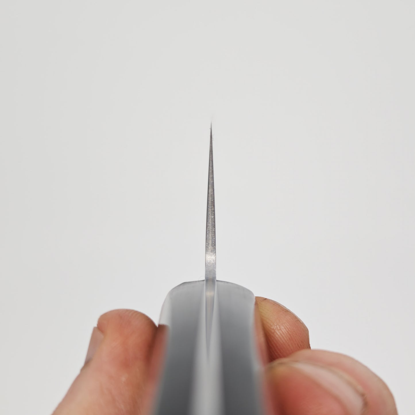 Shisei SLD Gyuto 210mm- Red handle