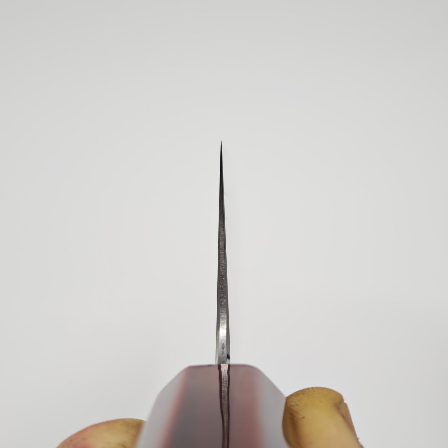 Myojin COSP Gyuto 240mm