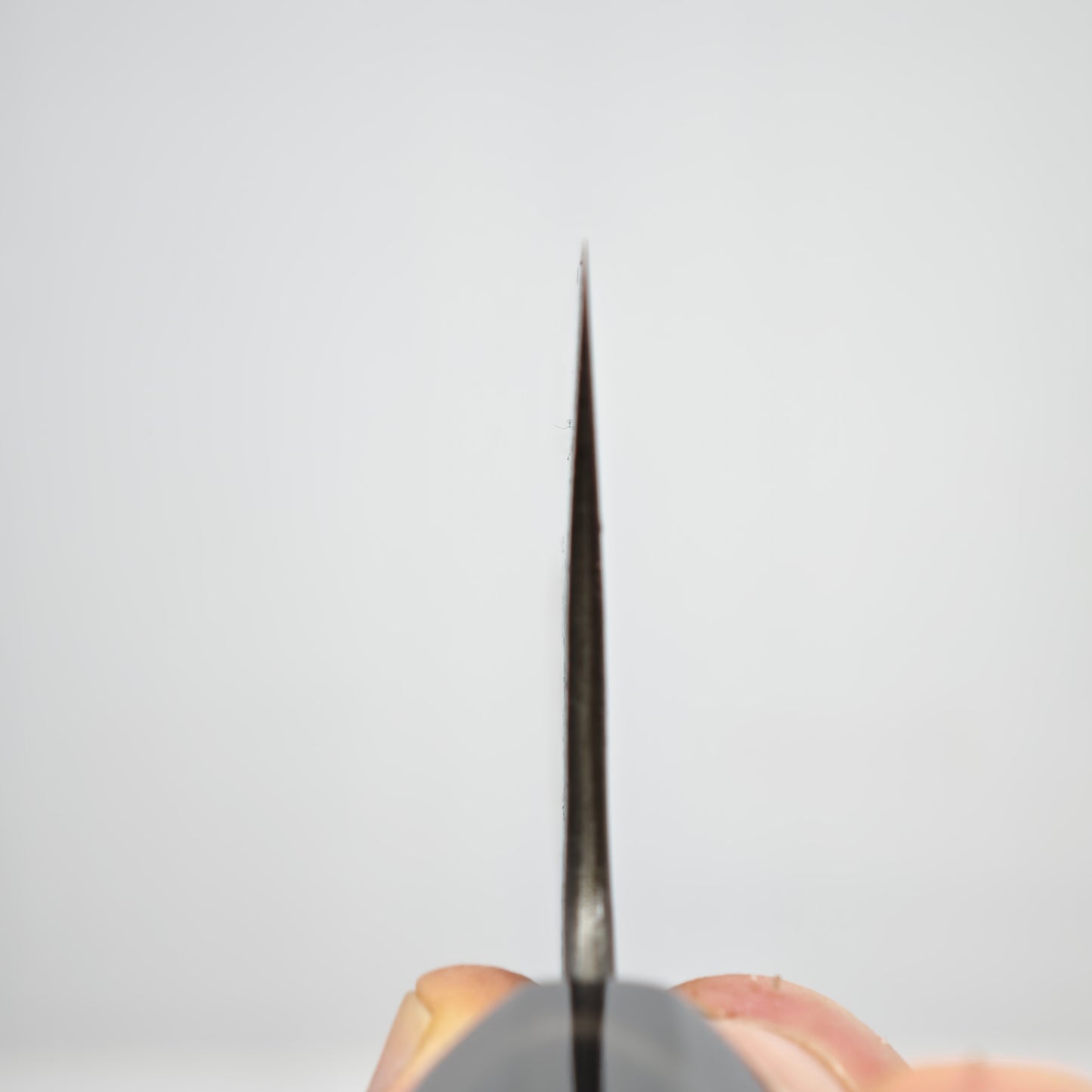 Toshihiro Wakui White2 Tsuchime Santoku 180mm