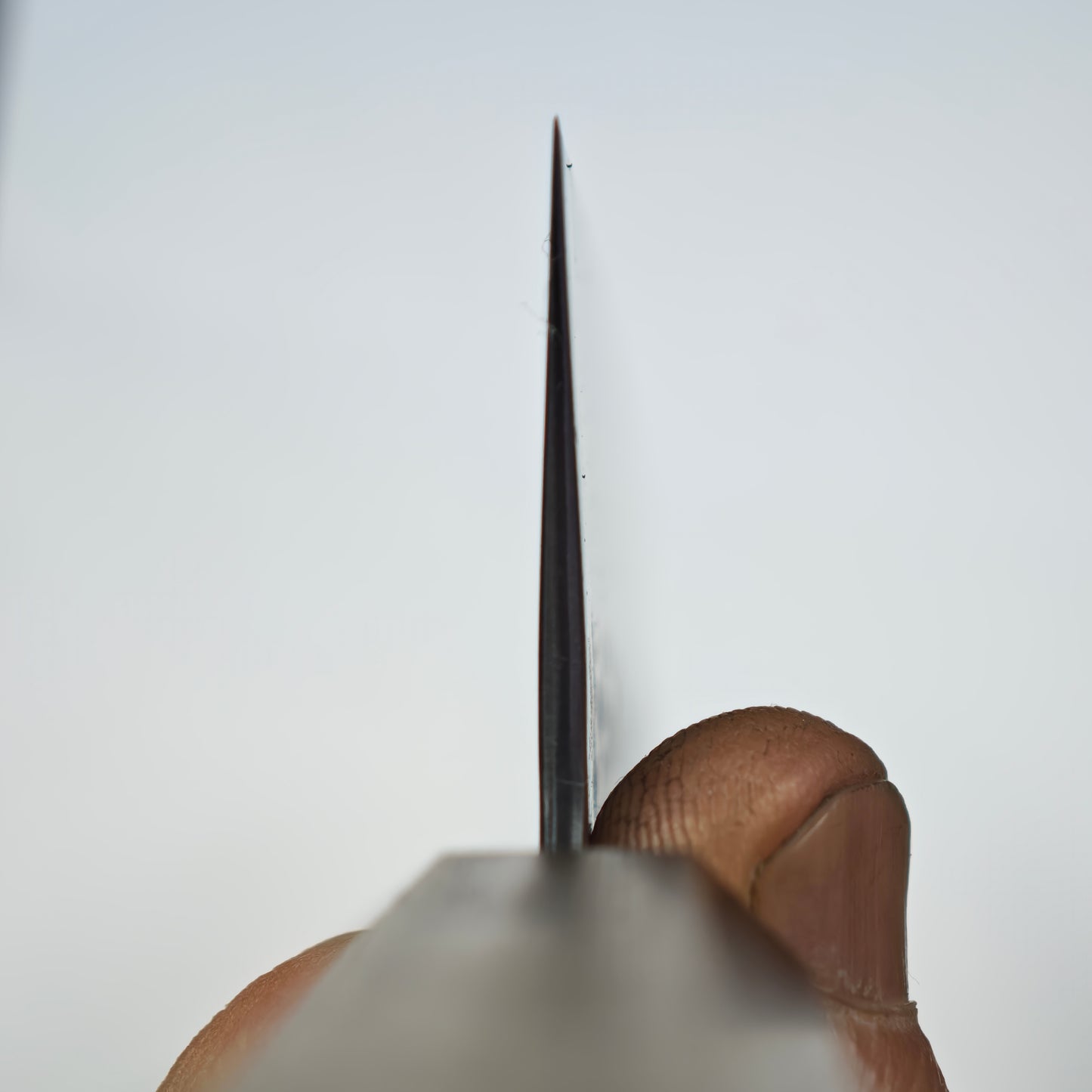 Touroku Sakai Blue Super Kiritsuke Gyuto 210mm