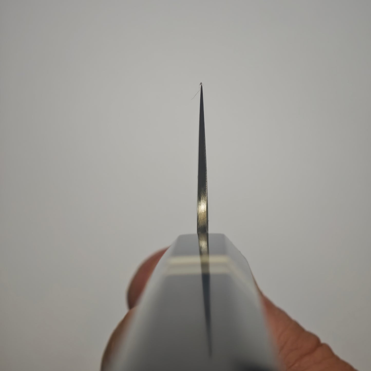 Sukenari Hap40 Gyuto 210mm
