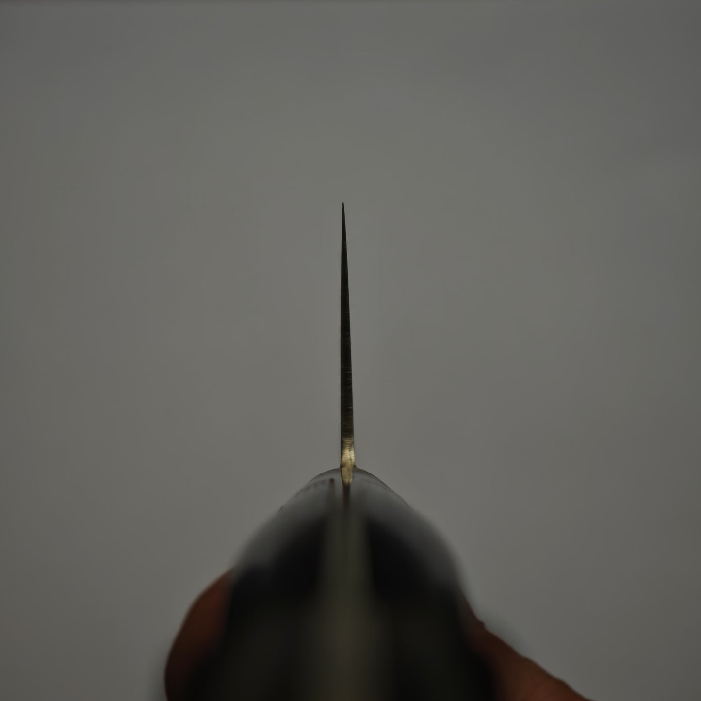 Touroku Sakai Migaki SG2 Gyuto 210mm Western Handle