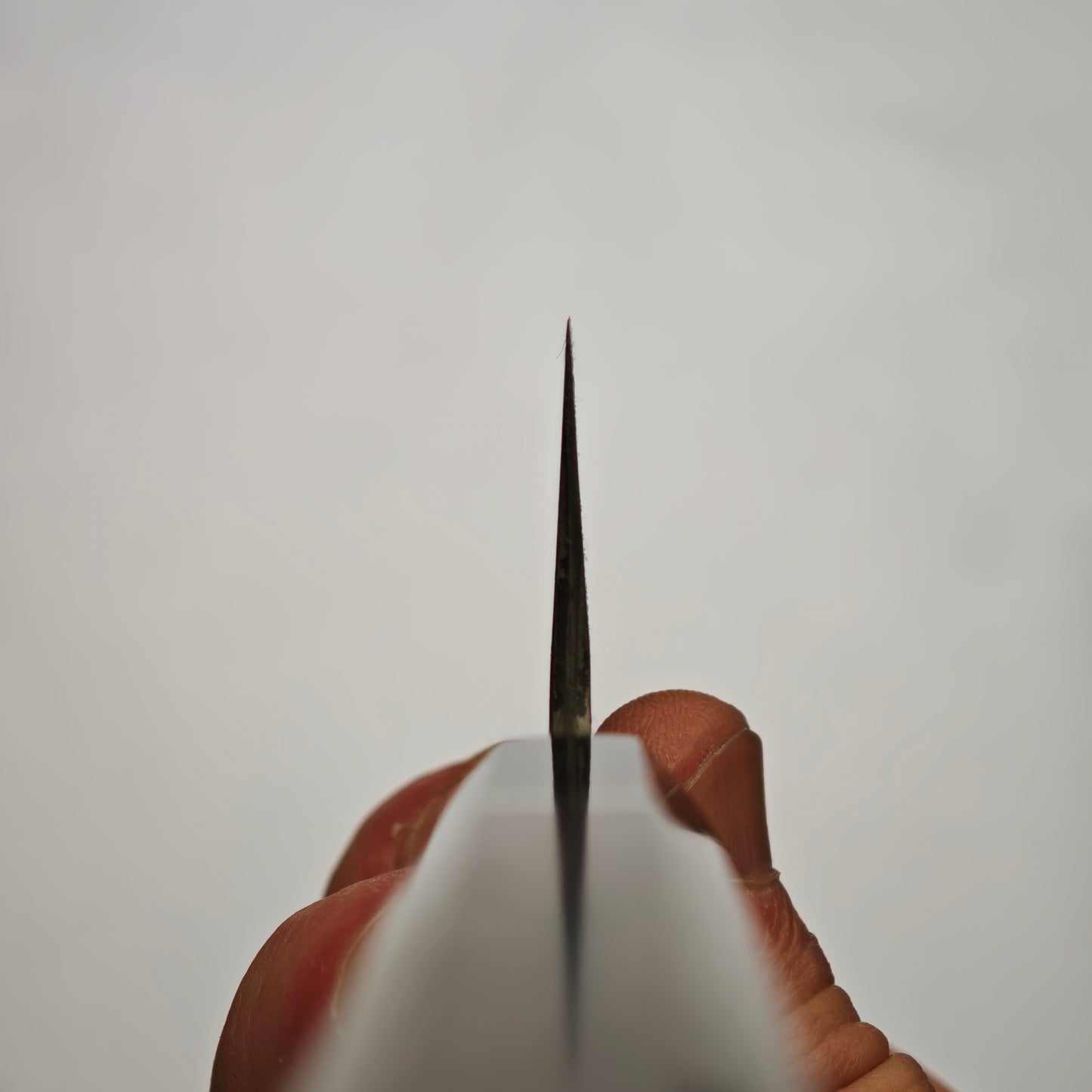 14 Miyazaki Kajiya Kitaeji Wa-tetsu Hon-warikomi Sujihiki 255mm