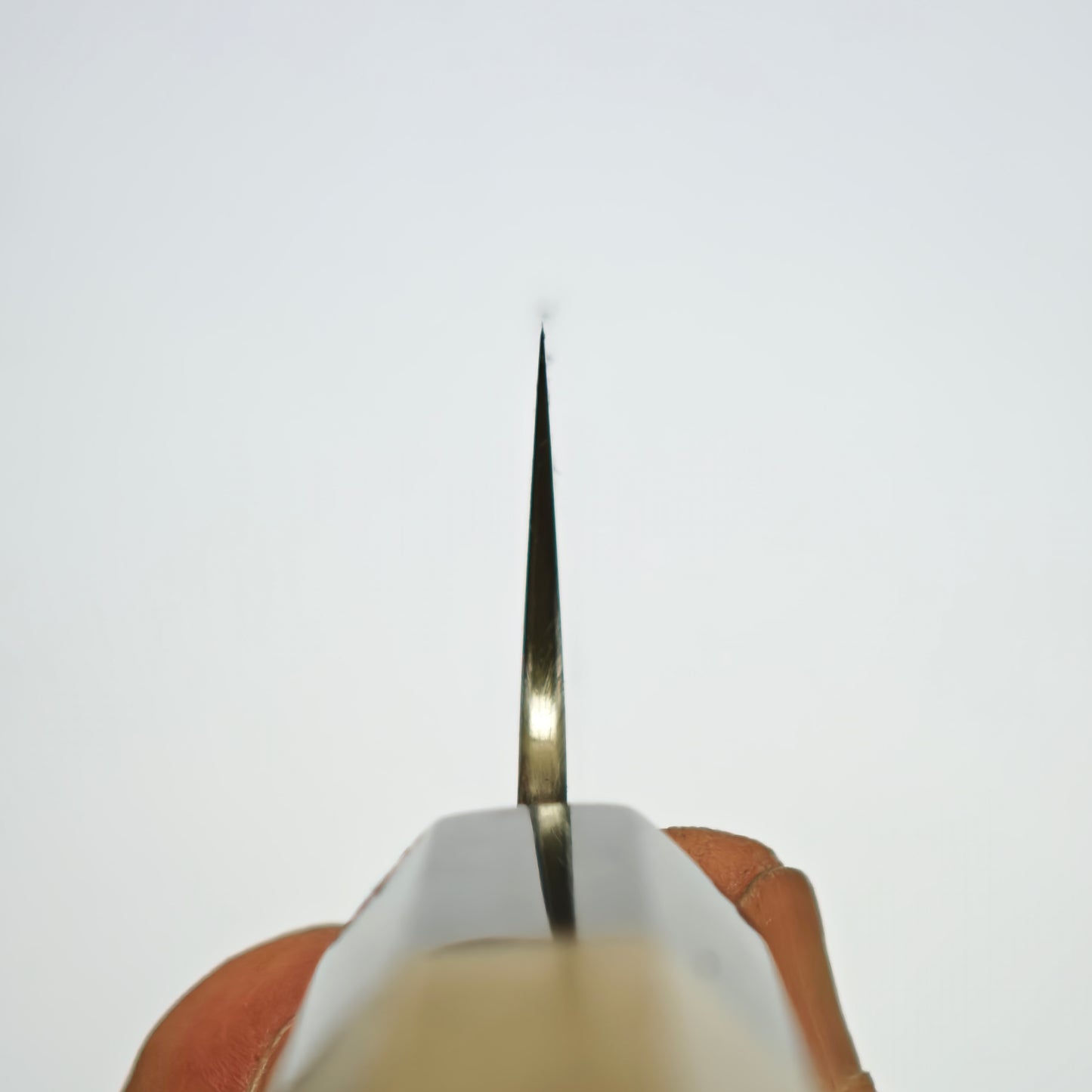 Sukenari SG2 Sujihiki 270mm