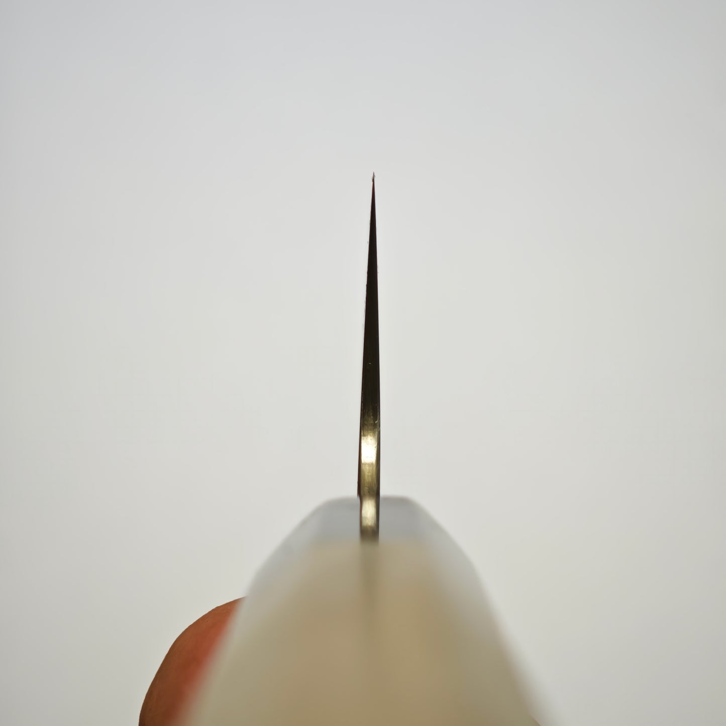 Sukenari SG2 Gyuto 210mm