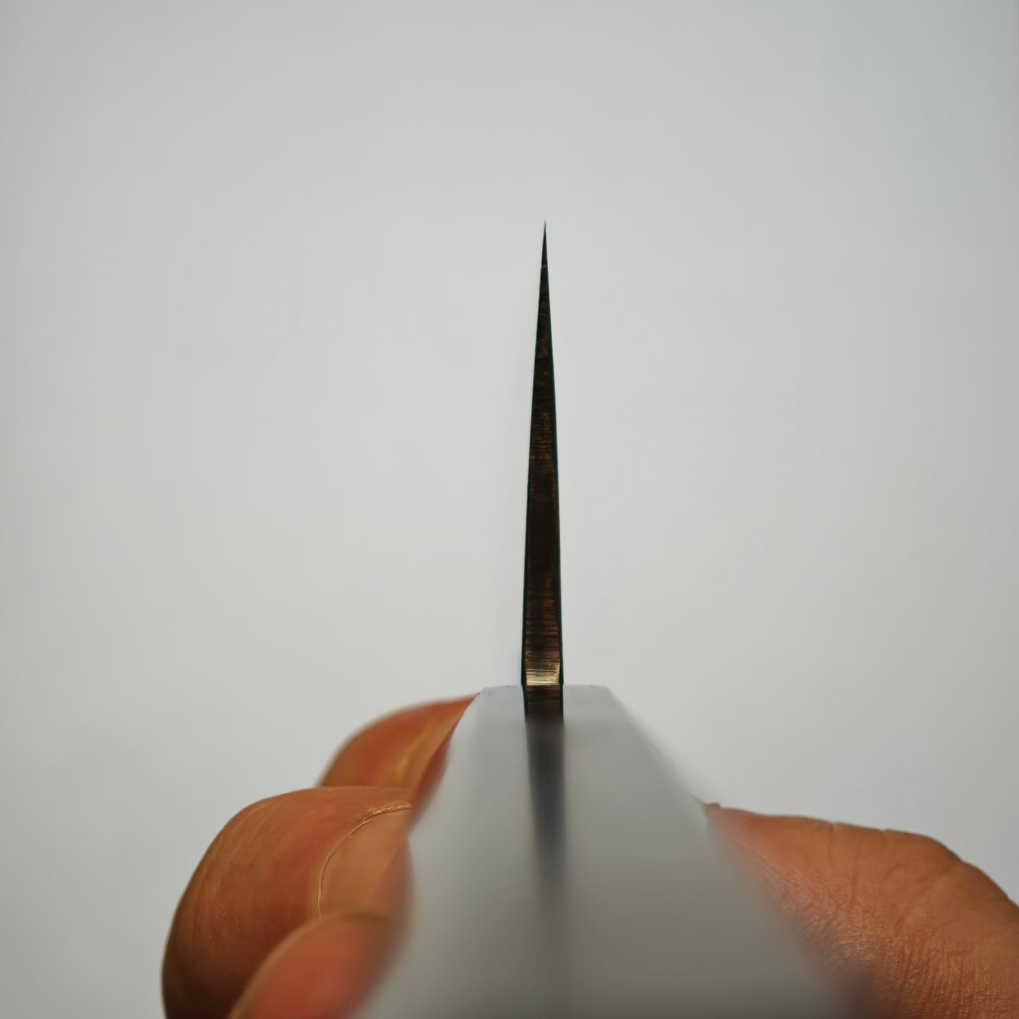 Toyama/ Watanabe Pro Blue 2 Migaki Gyuto 210mm