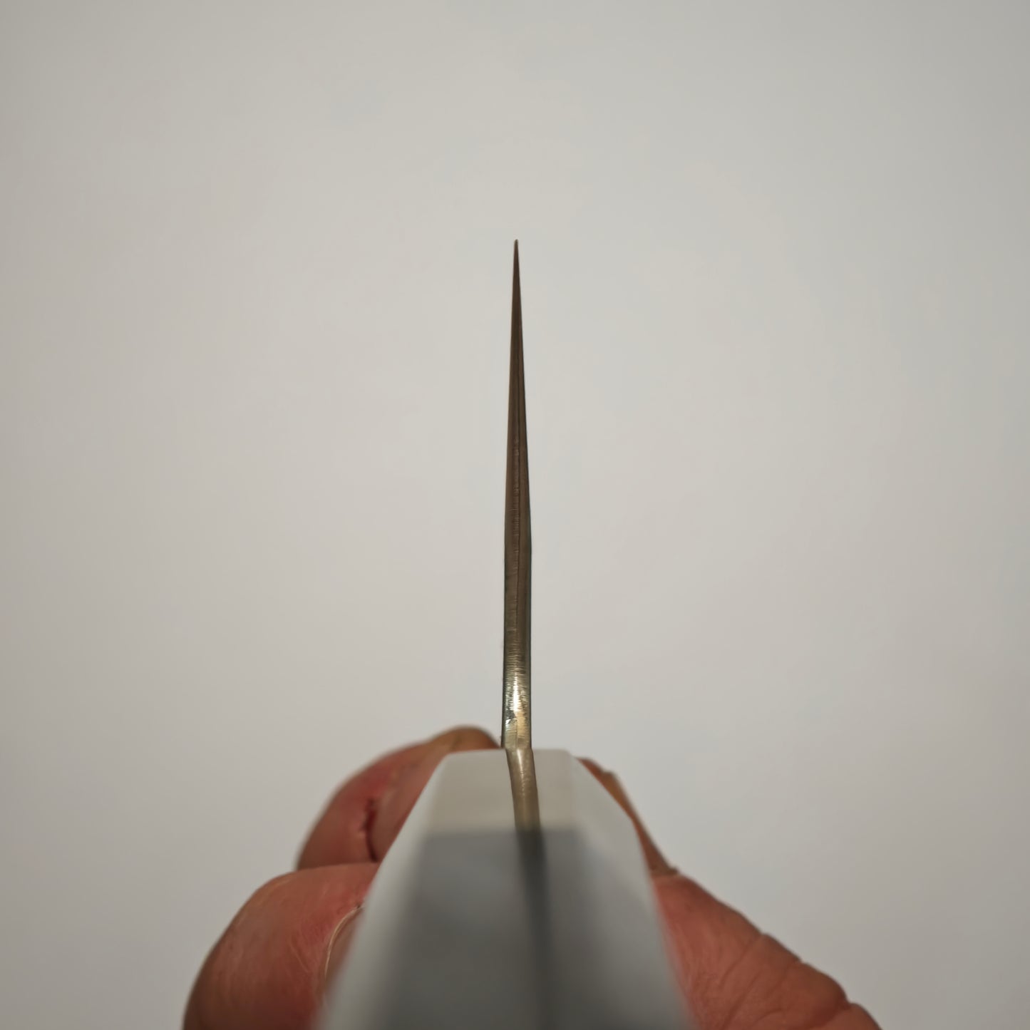 Tadokoro Hamono Honkasumi Ginsan(Silver3) Gyuto 240mm (Extra Tall)
