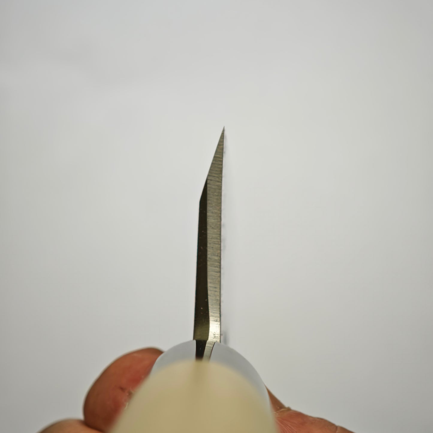 Sakai Takayuki Tokujo White2 Deba 180mm