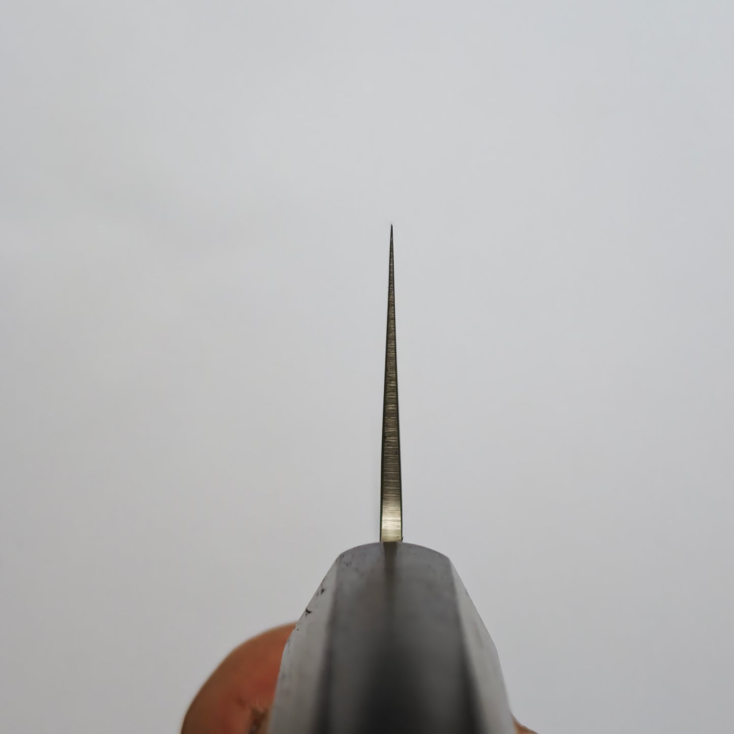 Sakai Takayuki Nashiji VG10 Gyuto 210mm