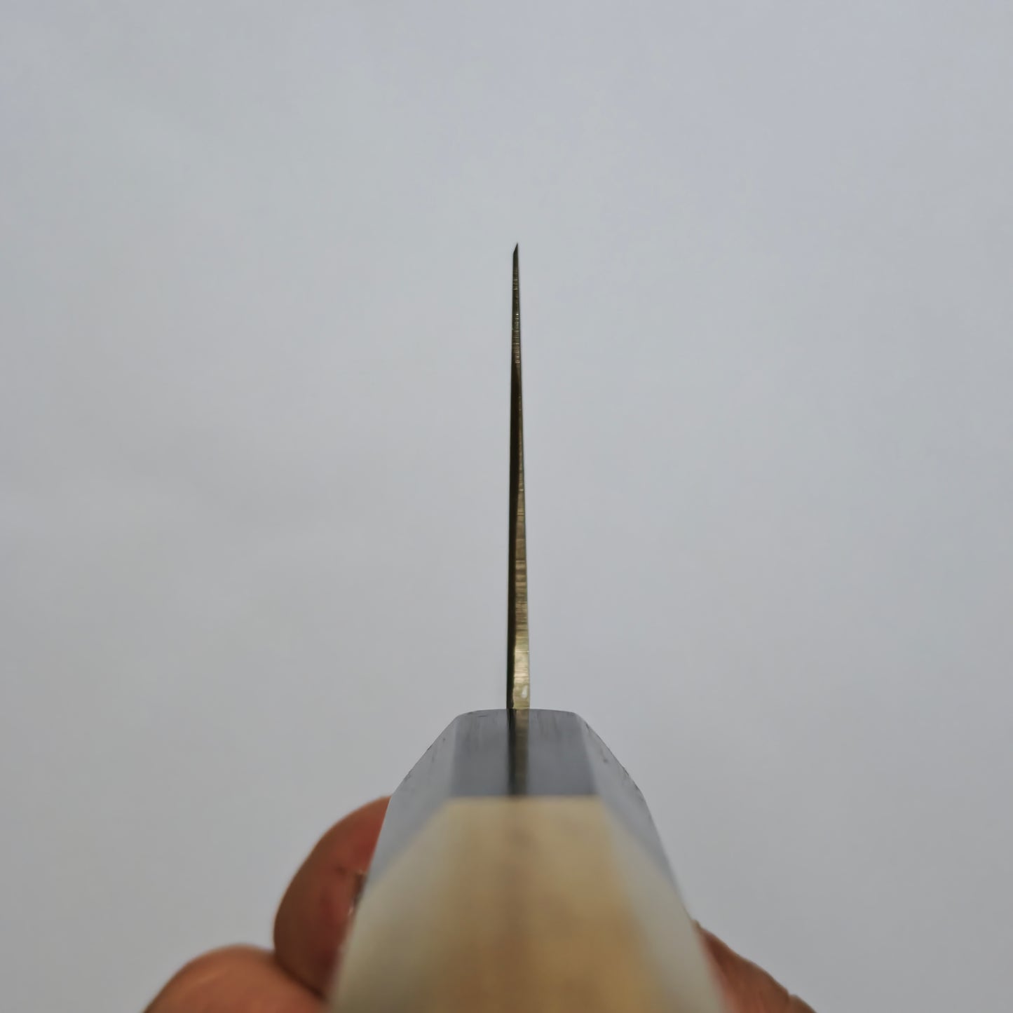 Sakai Takayuki Grand Chef Gyuto 240mm - WA Handle
