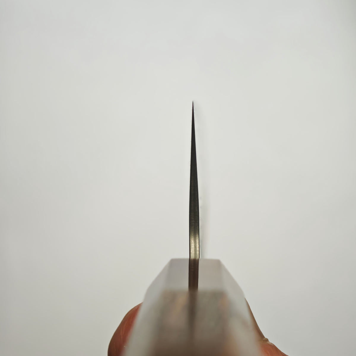 Shisei Swedish Steel Washiji Kiritsuke Gyuto 210mm