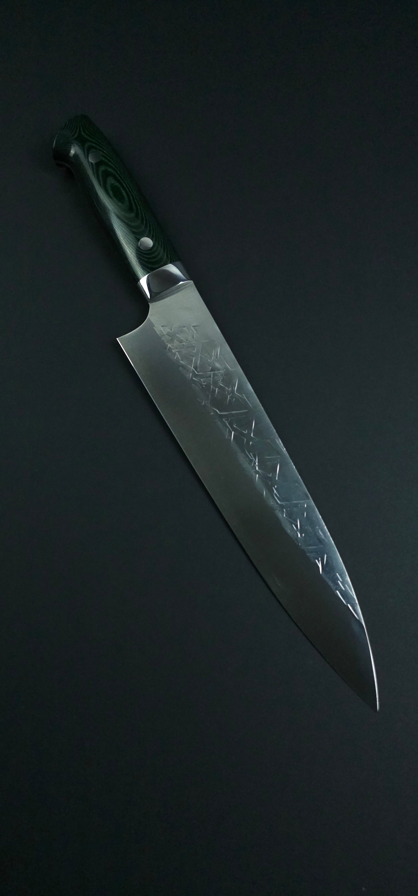 Takeshi Saji SRS13 Gyuto 210mm