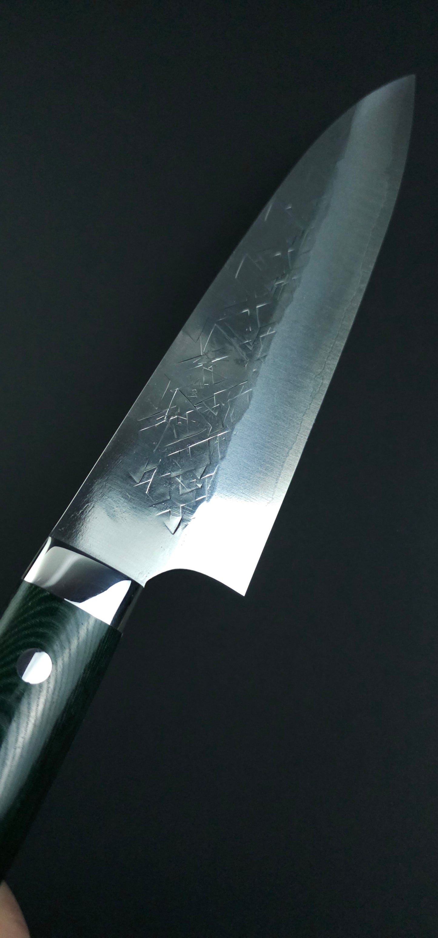 Takeshi Saji SRS13 Gyuto 210mm