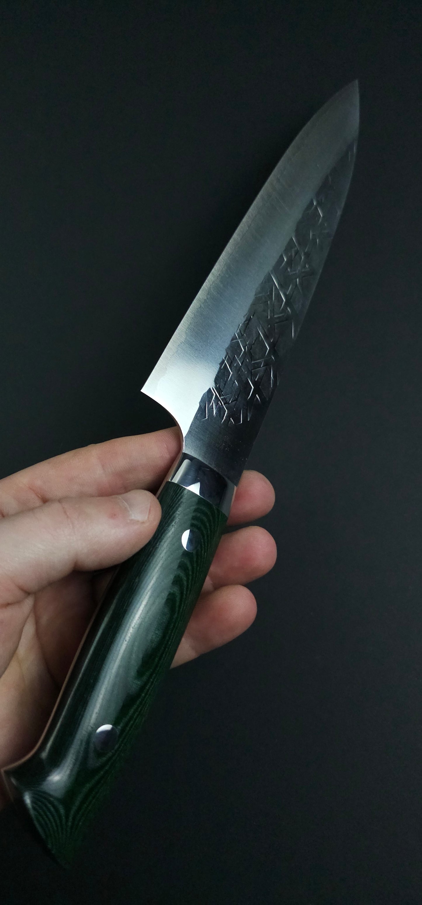 Takeshi Saji SRS13 Gyuto 210mm