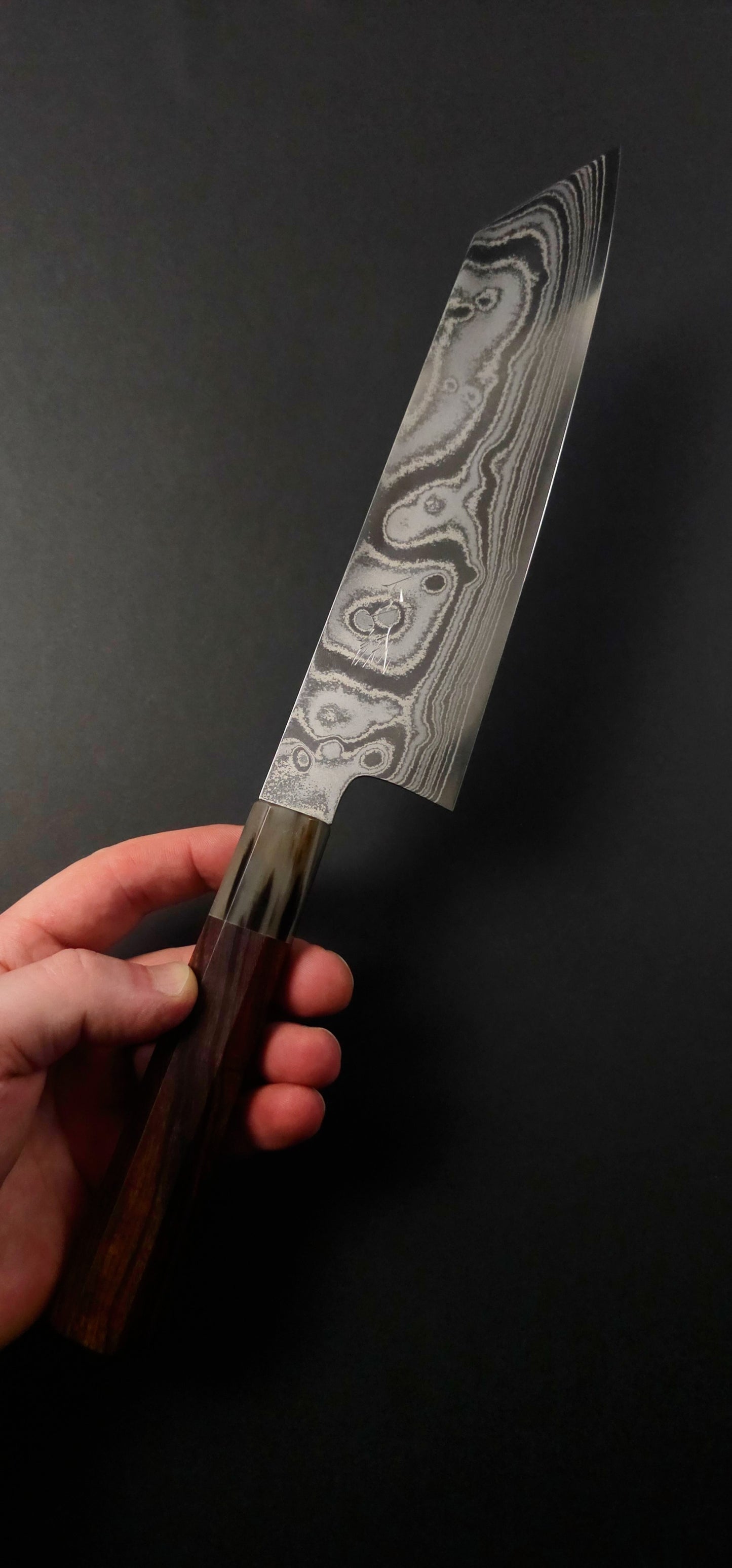 Shisei AUS10 Nickel Damascus Kiritsuke Gyuto 210mm