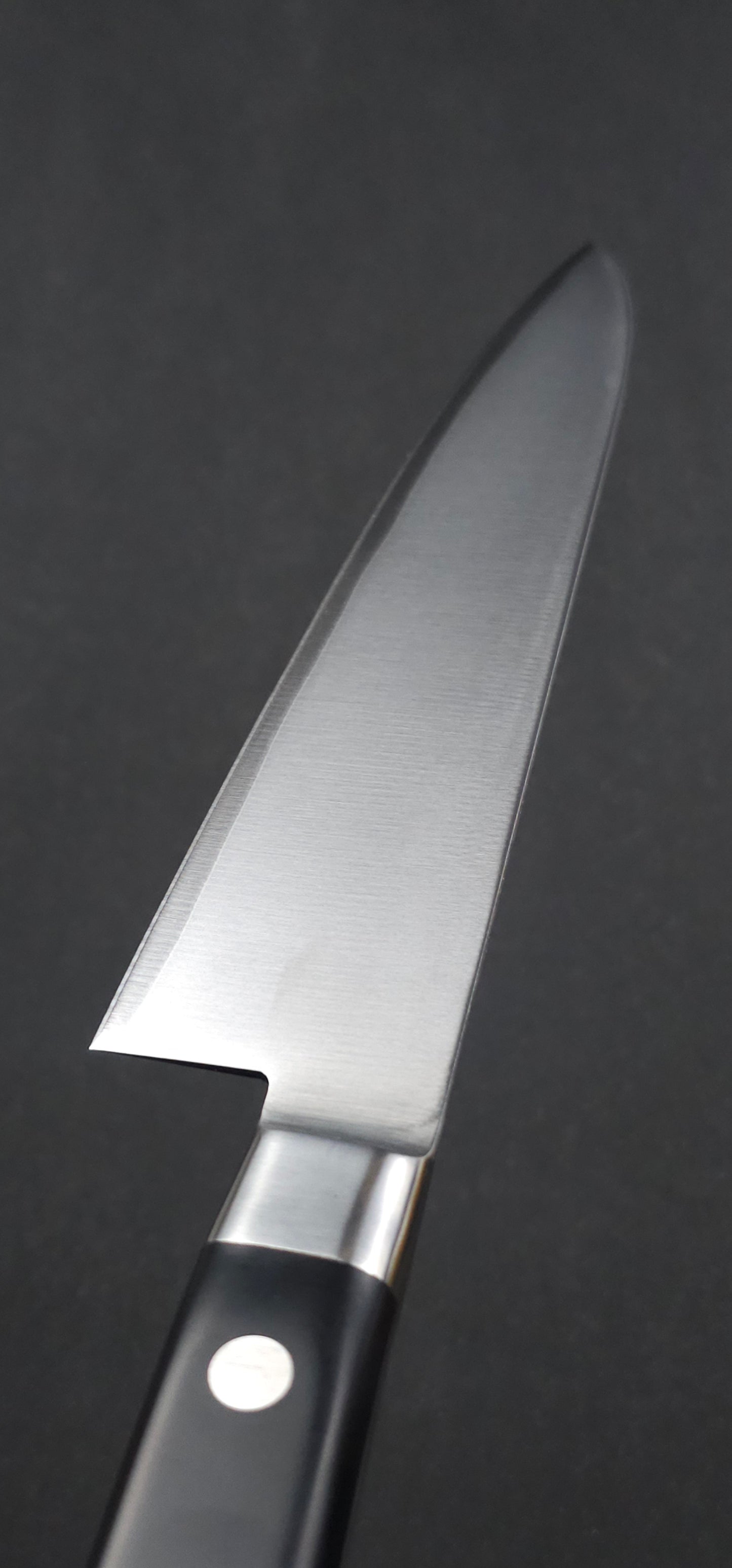 Tojiro(FUJITORA) DP3 VG10 Gyuto 240mm