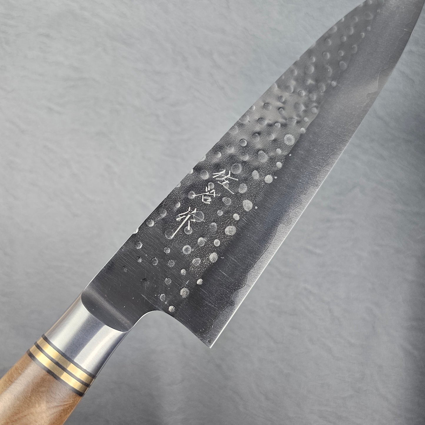 Takeshi Saji SG2 Quince Gyuto 210mm