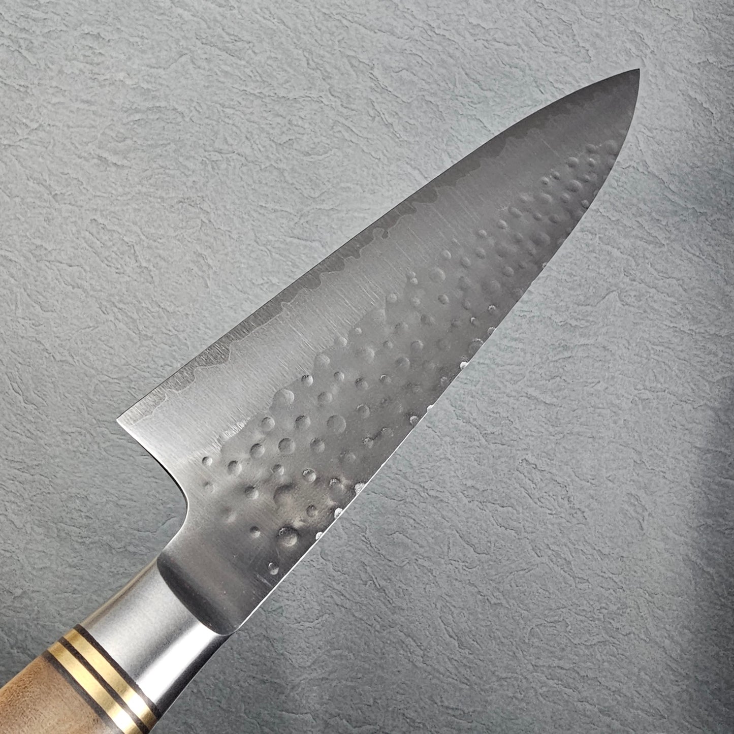 Takeshi Saji SG2 Quince Gyuto 210mm