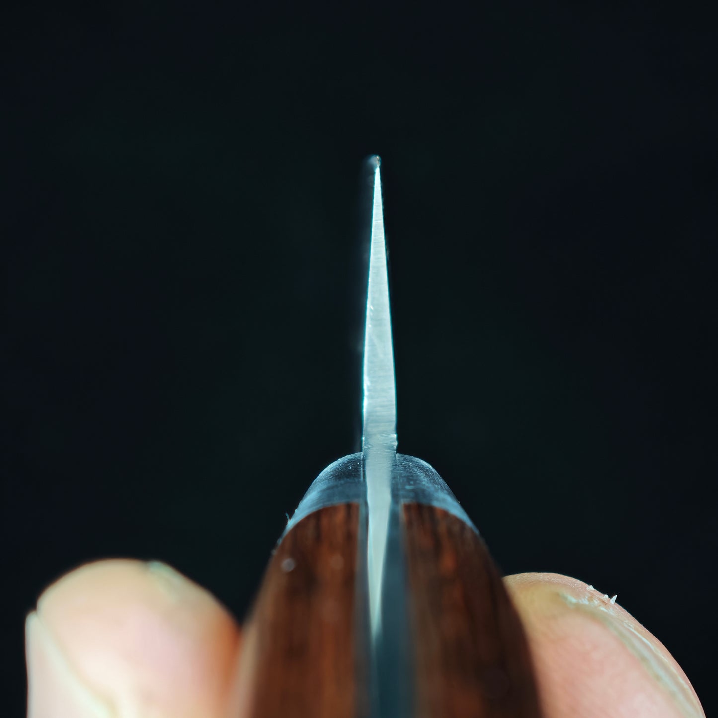Shisei VG10 Sumi Tsuchime Honesuki 145mm