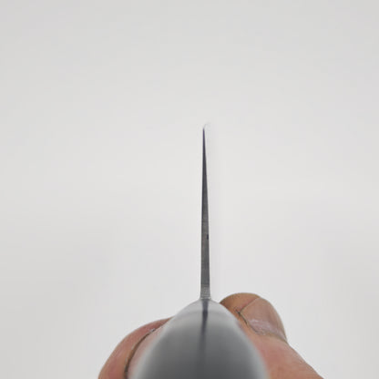 Shisei AUS10 45 Layer Gyuto 210mm