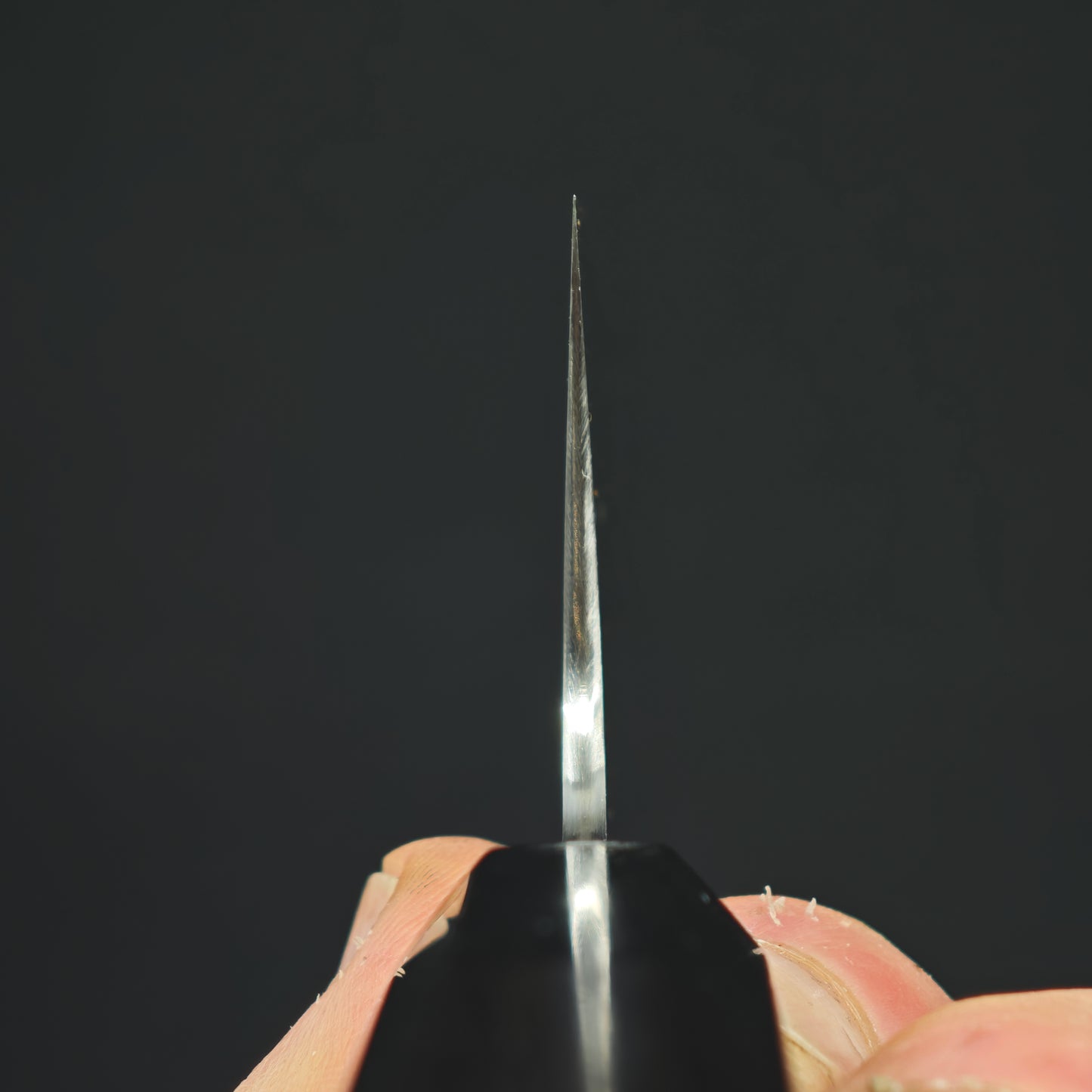 Sukenari ZDP189 Gyuto Migaki 240mm