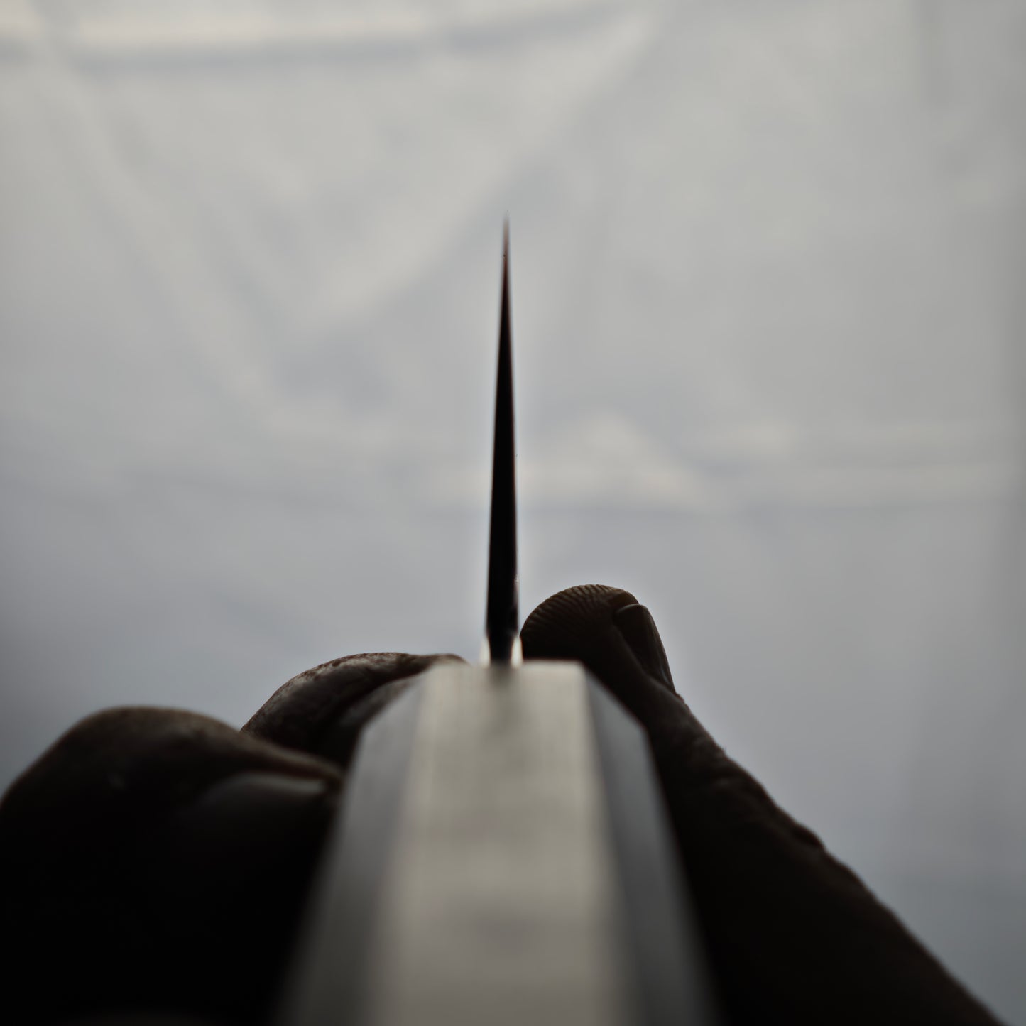 Touroku Sakai-Hideki Ino Ginsan Gyuto 240mm