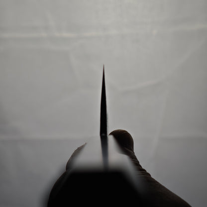 Tadokoro Hamono SG2 Kurozome Tsuchime Gyuto 220mm