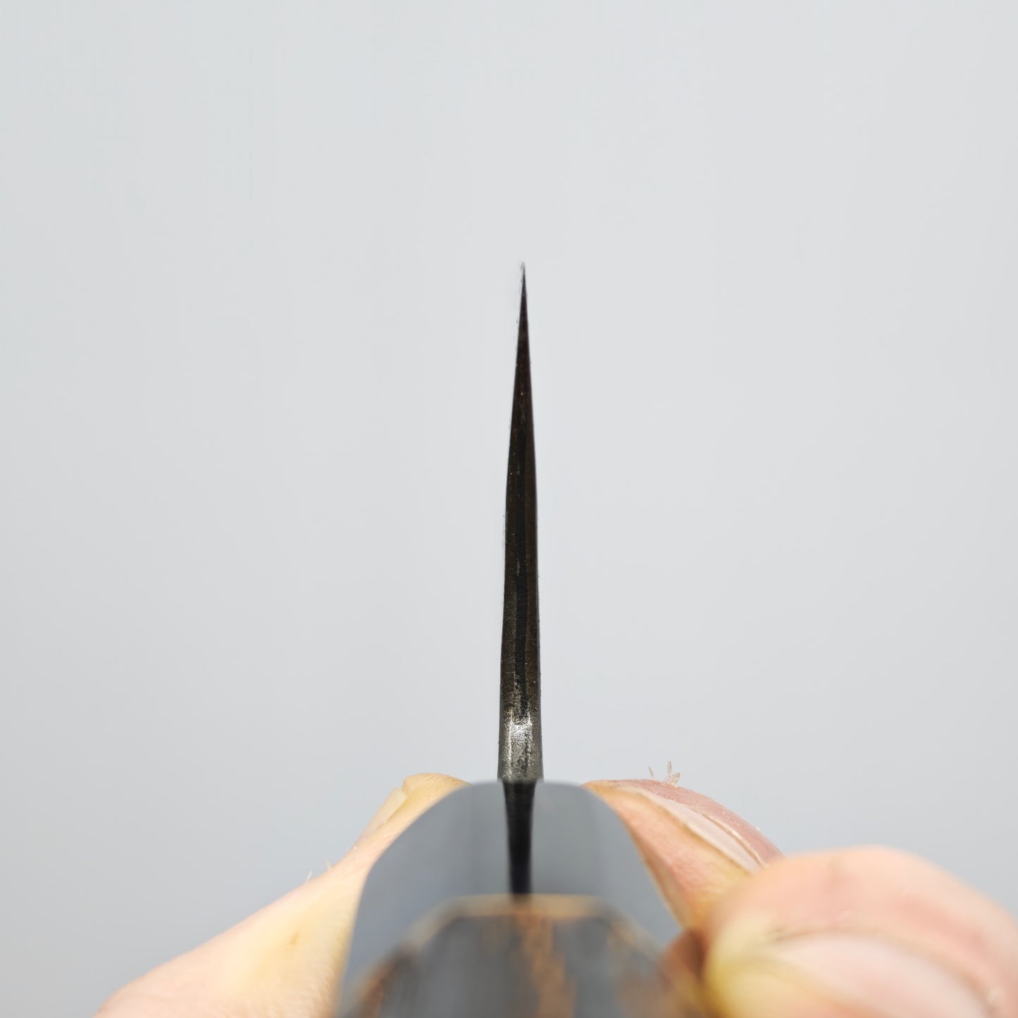 Toshihiro Wakui White2 Tsuchime Gyuto 240mm