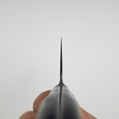 Tetsuhiro VG10 Gyuto 210mm